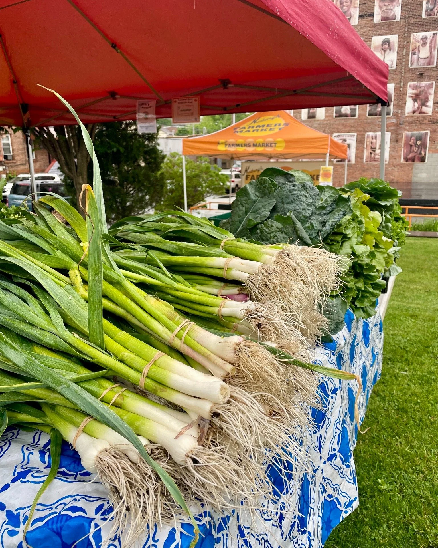 After many rainy Saturdays, sunshine is finally in the forecast! ☀️

Join us this Saturday, May 30, from 10 AM&ndash;3 PM on the Safe Harbors Green for fresh vegetables, greens, herbs, flowers, eggs, baked goods, prepared foods, handmade goods, and m