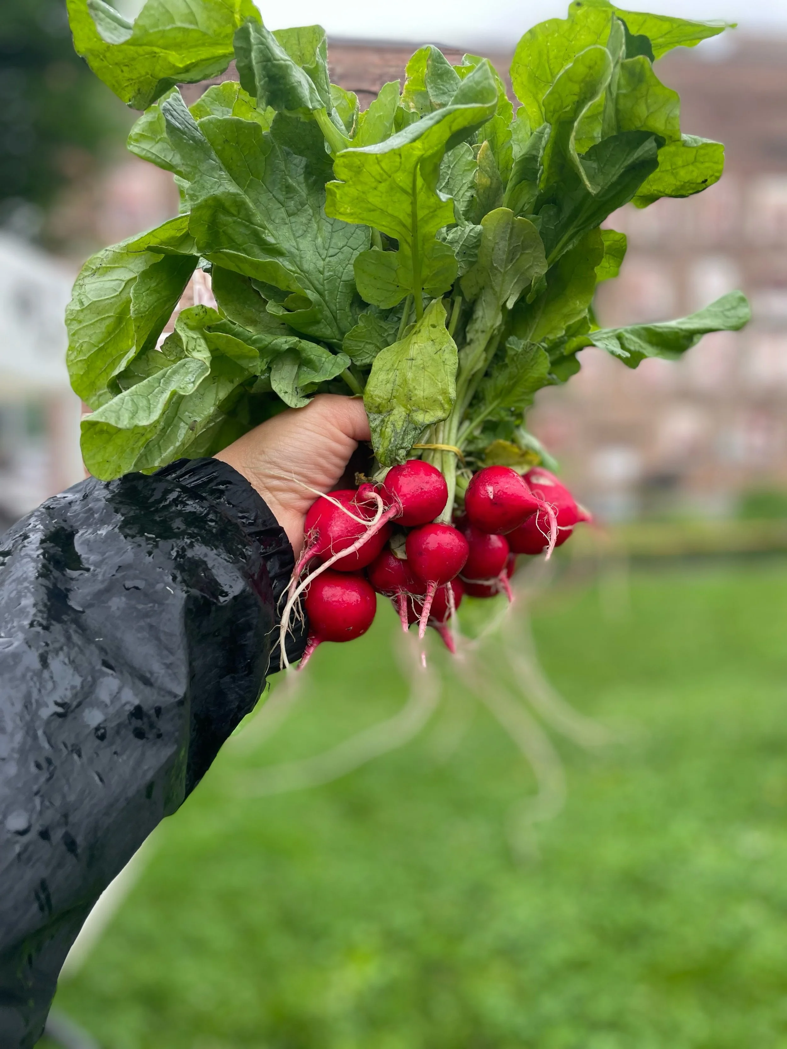 There will be wind and there will be rain&hellip; but there will also be a farmers market! 🌧️🌱

Due to the predicted forecast, tomorrow&rsquo;s market will be inside the Stage House. Same great market, just a little more sheltered from the weather.