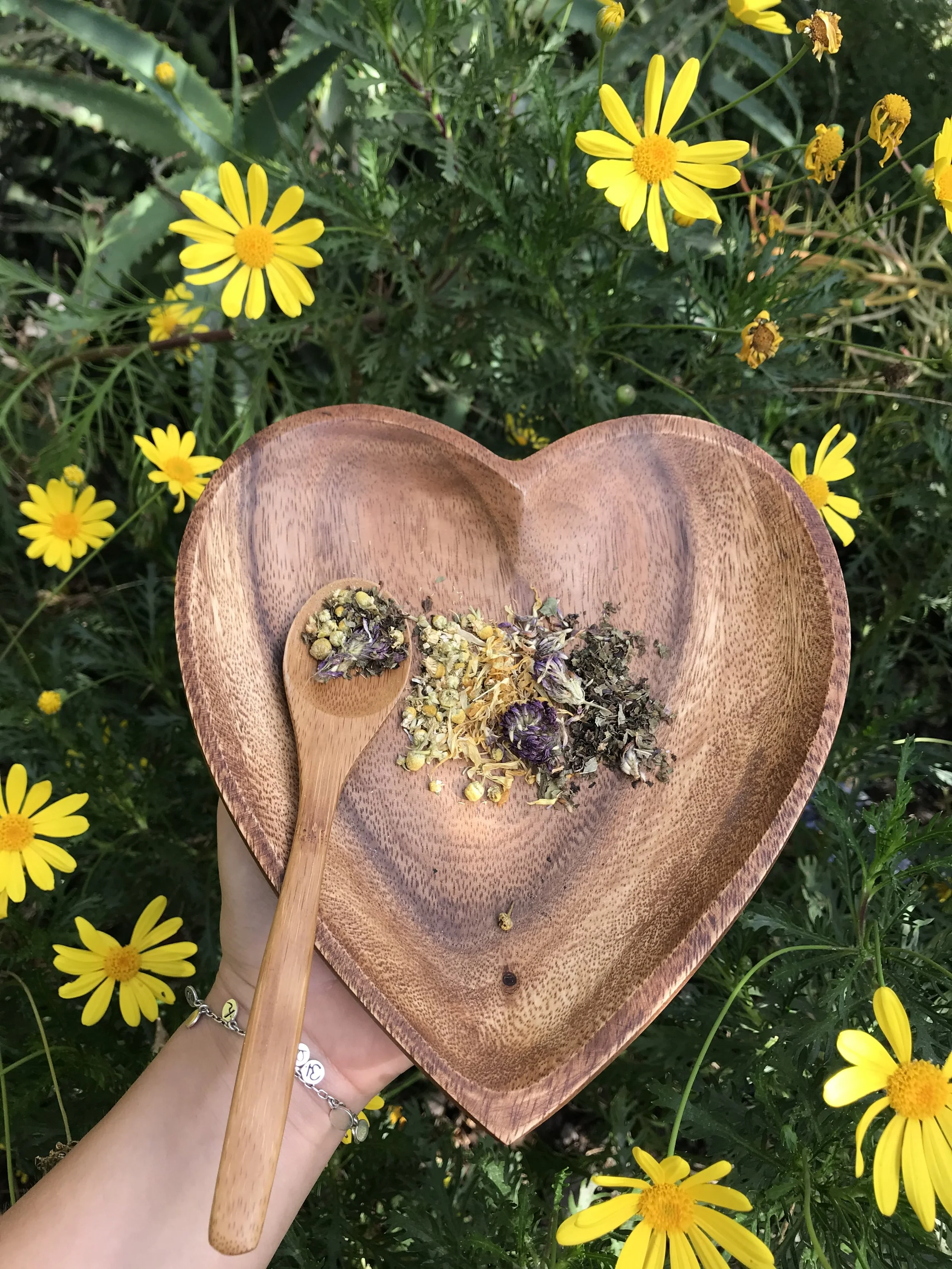 Collage Herbal Support.jpg