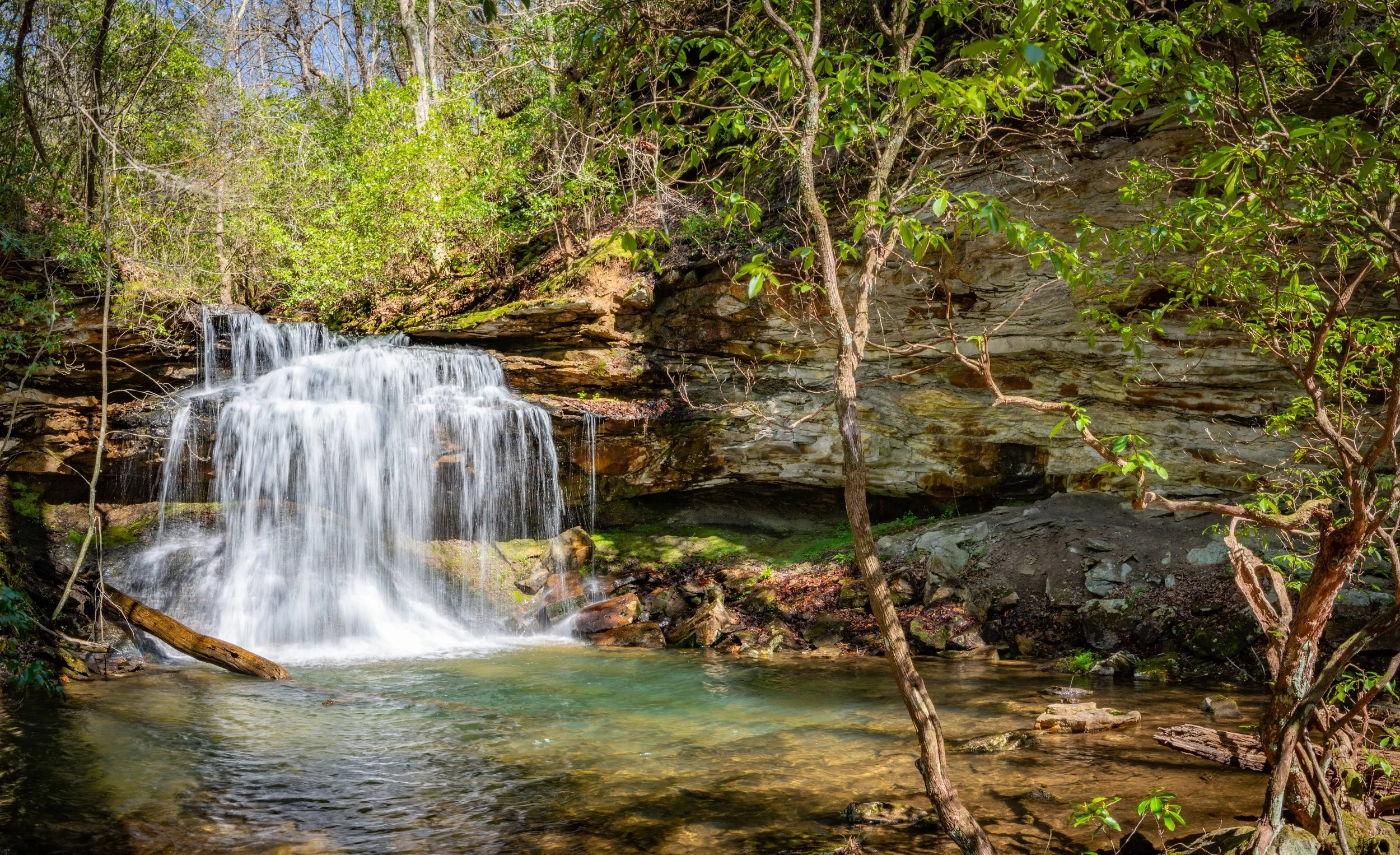 Rim Runner Trail Races — GTE