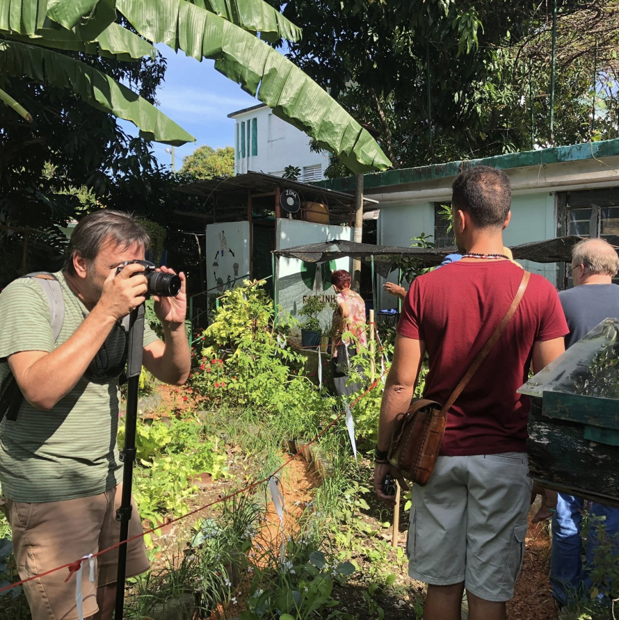 Group of people in a backyard garden, taking photos and observing plants, with lush green trees and a small building in the background.