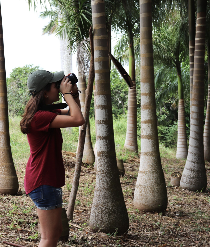 A young woman wearing a green cap, red shirt, and denim shorts taking a photograph of trees in a tropical forest with a camera.