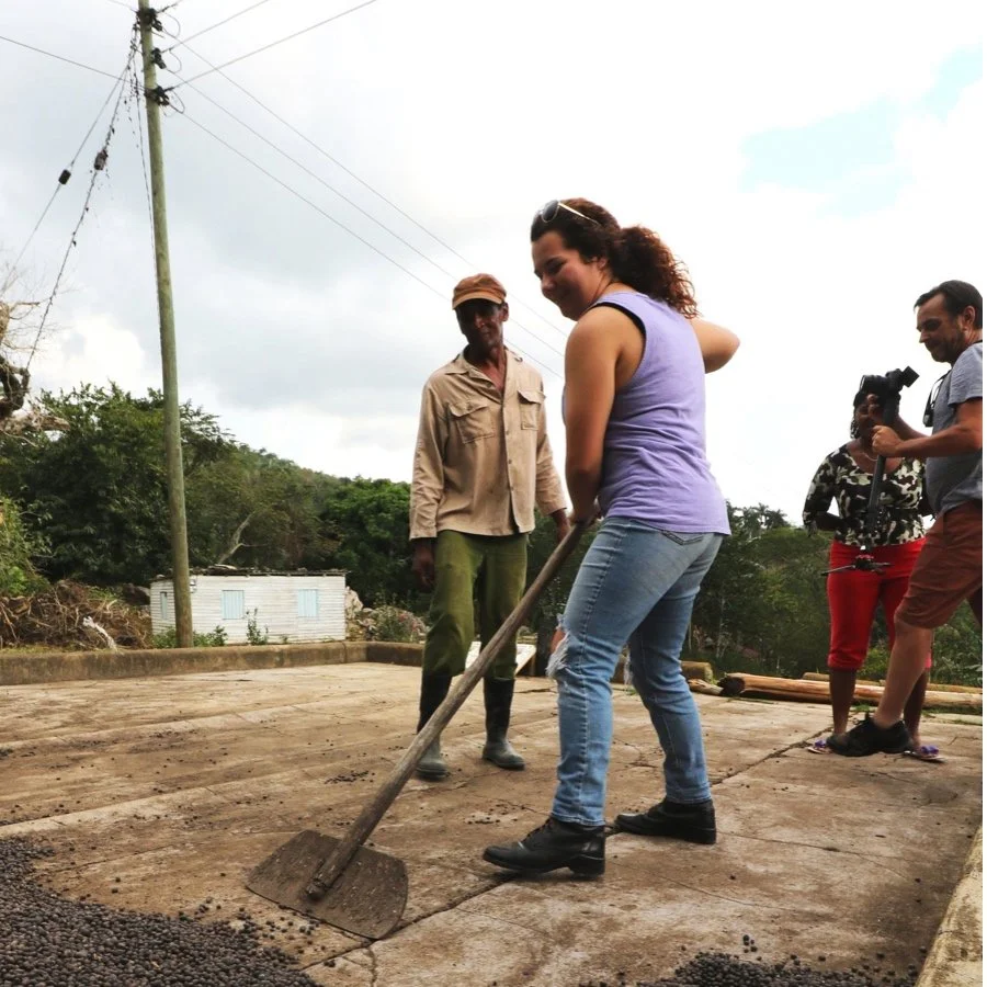 A woman is using a shovel to spread small dark seeds or beans on a concrete surface outdoors, with three other people observing and photographing the activity.