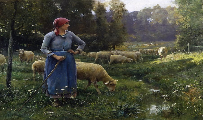 Of Sheep and Tender Shoots