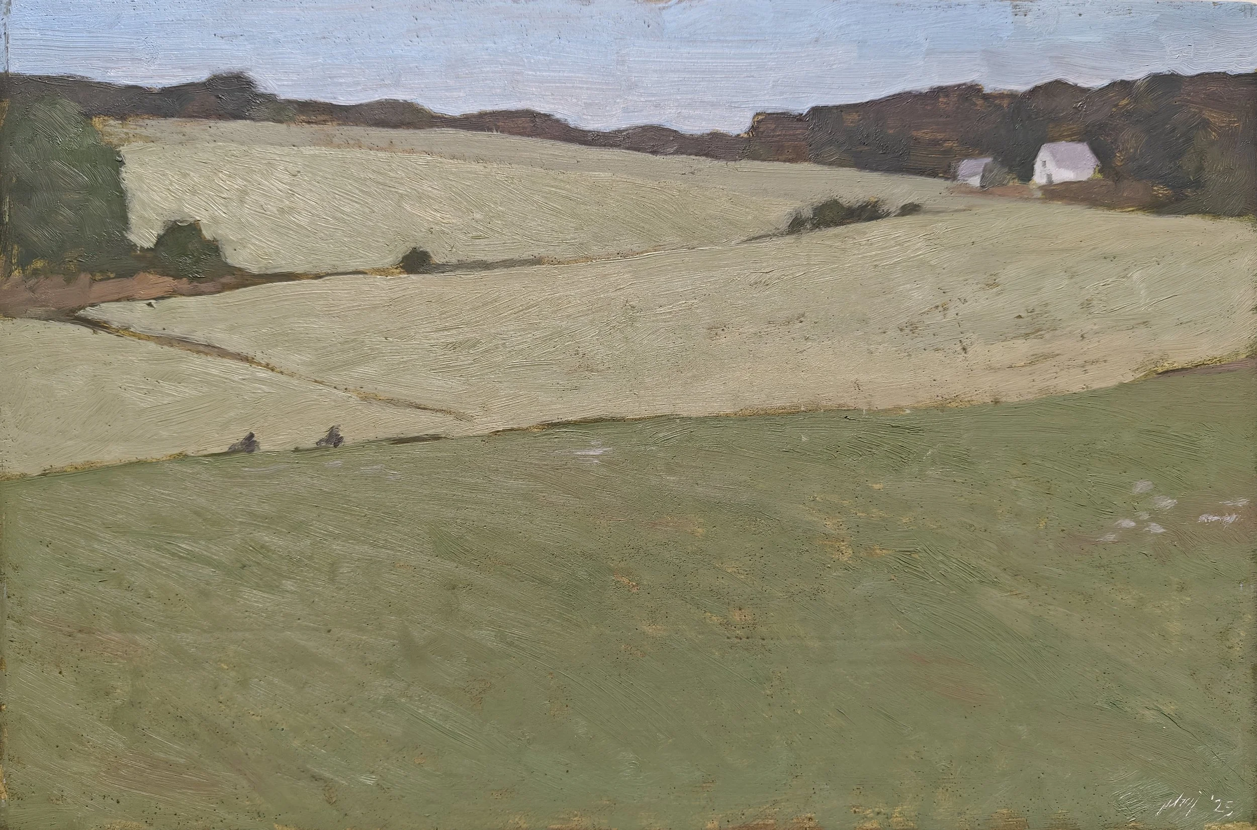 Landscape Suite II op3.jpg