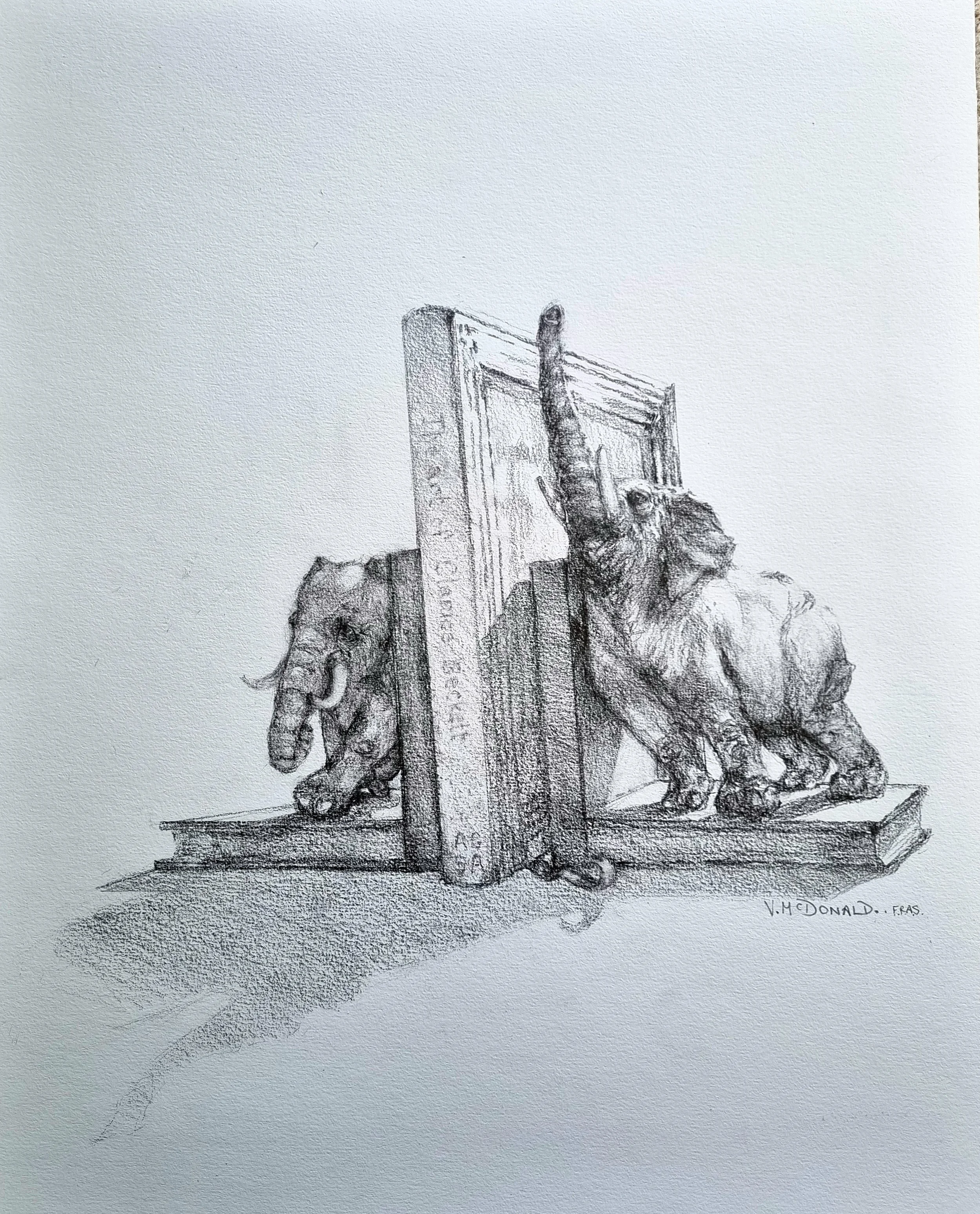 ELEPHANTS IN THE WAITING ROOM