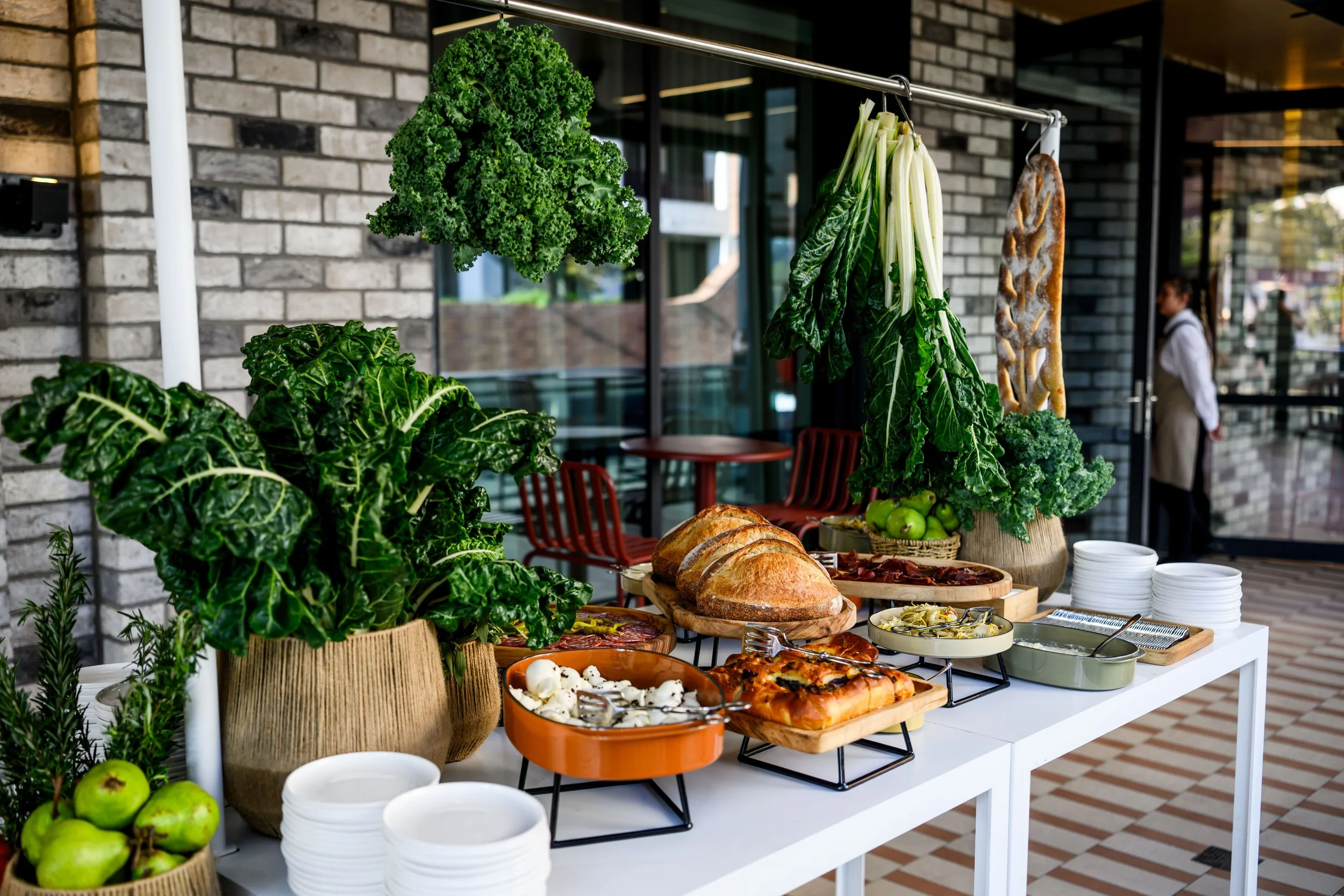 20260311_NOVA_INFRONTS-290 (1).jpg