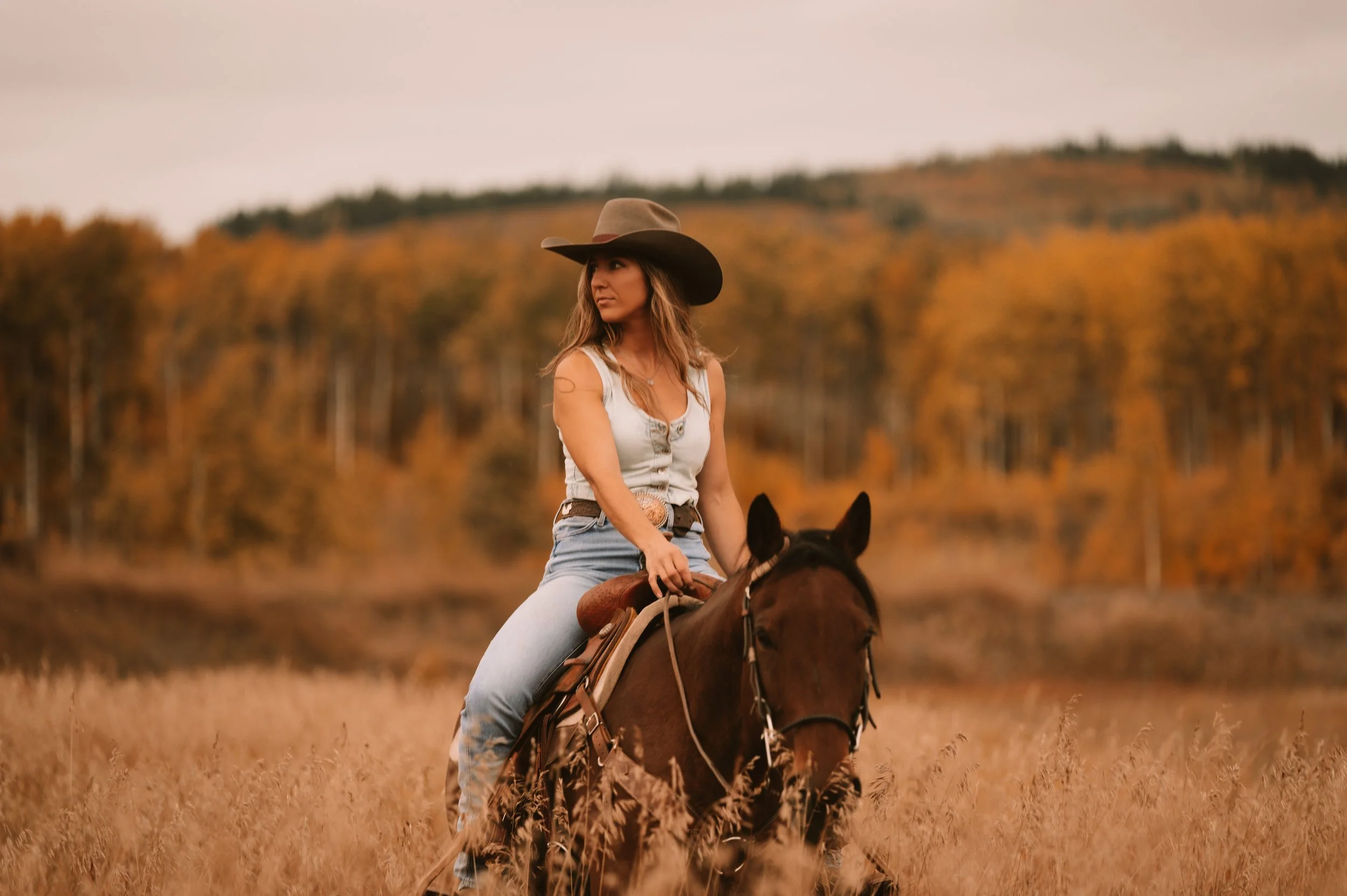 Woman riding a horse in a field with autumn trees in the background