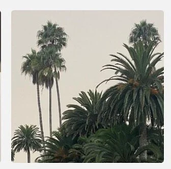 Inspired by  nature - the Anvi Cross body bag in Green Sage, Orange Spice and Black Fennel