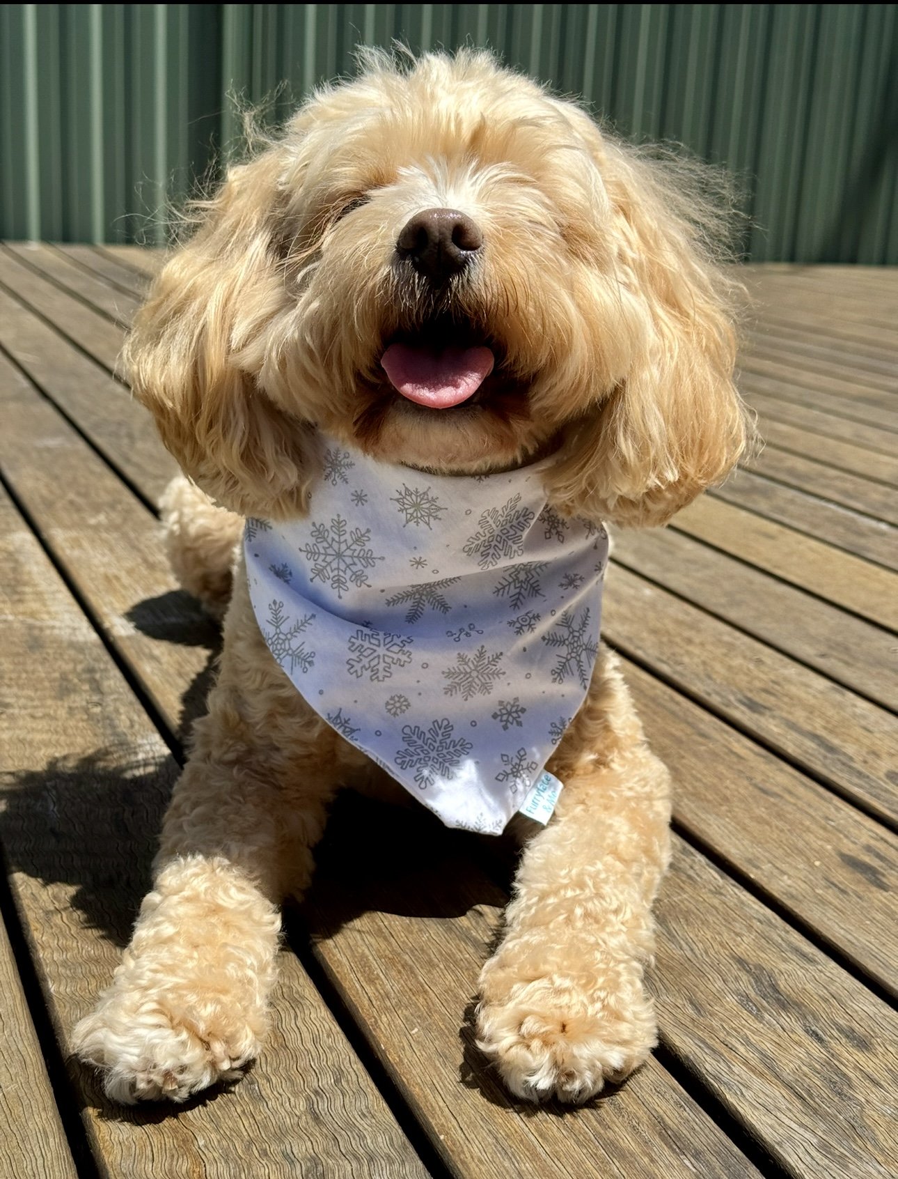 Dog bandana - White snowflake