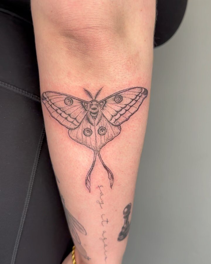 Comet moth for Lauren.

.

.
..
&hellip;

#finelinetattoo #tattoo #fineline #tattoos #ink #tattooartist #inked #tattooart #art #tattooideas #tattooed #linework #dotworktattoo #tattoodesign #dotwork #tattooing #chicago #chicagotattoo #tattoolife #chic