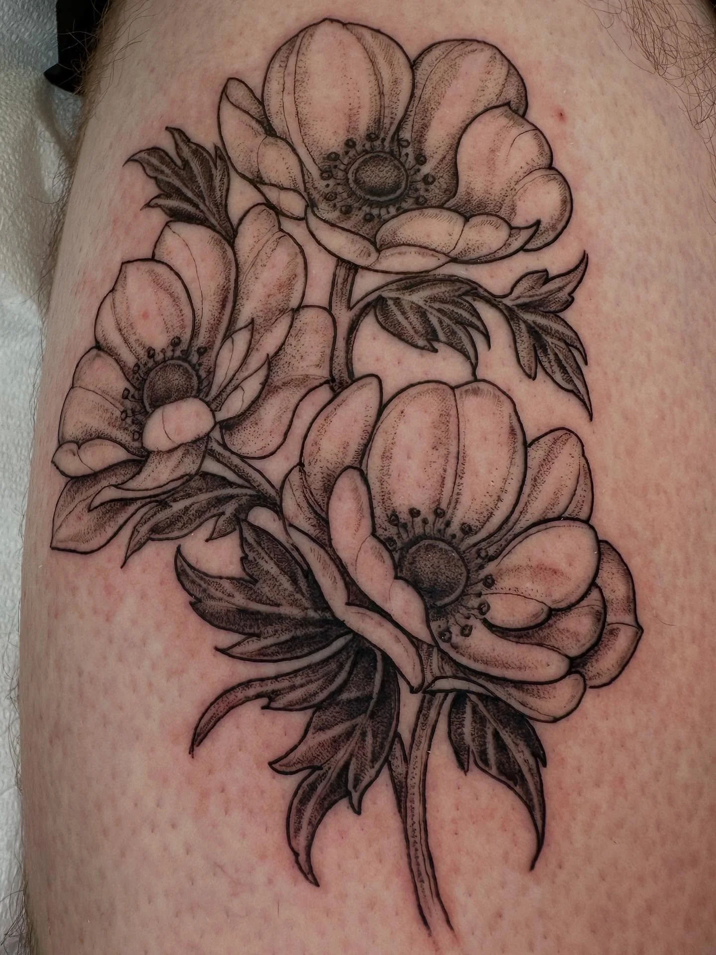 Anemone flowers for Brian. I&rsquo;m always happy when it&rsquo;s flower tattoo time :) Thanks Brian! 

#finelinetattoo #tattoo #fineline #tattoos #ink #tattooartist #inked #tattooart #art #tattooideas #tattooed #tattooing #chicago #chicagotattoo #ch