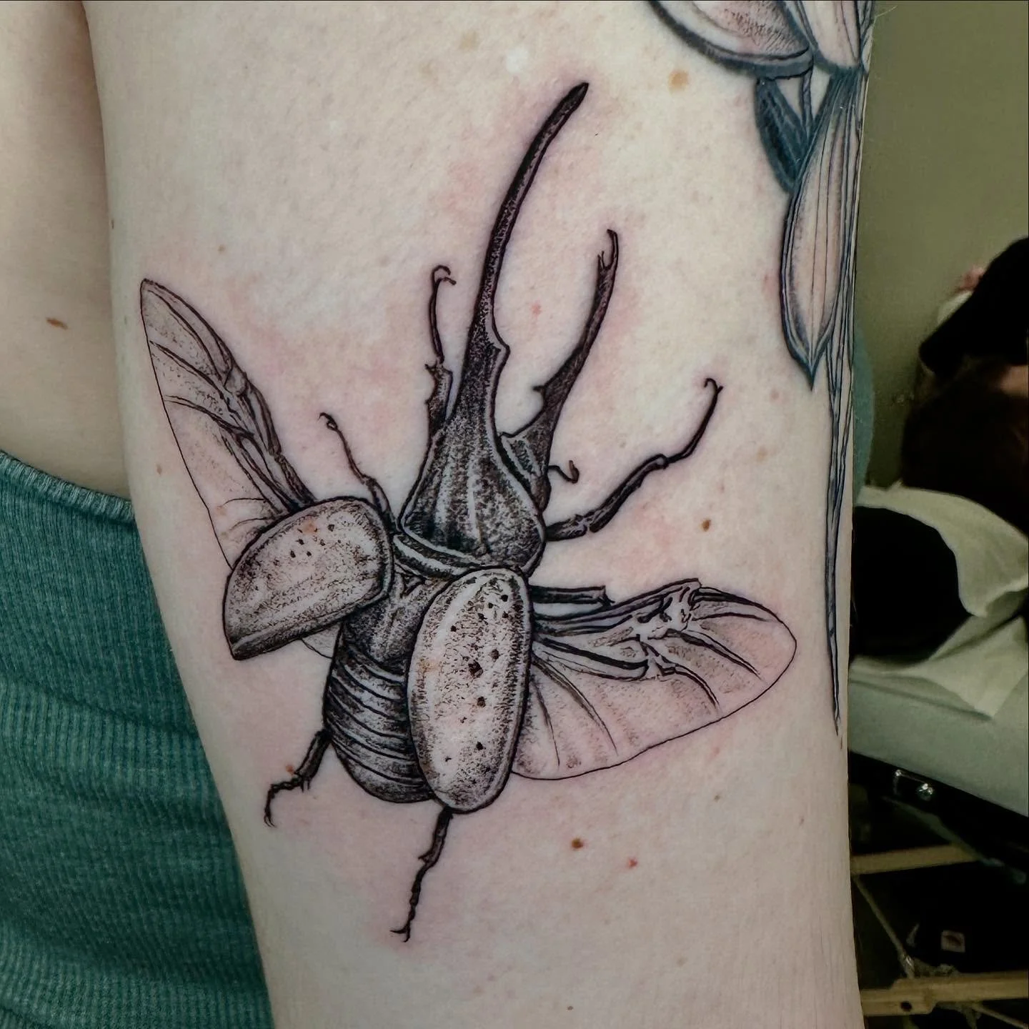 Hercules beetle for Cecelia picked from available designs. 

.
.
:)
#finelinetattoo #tattoo #fineline #tattoos #ink #tattooartist #inked #tattooart #art #tattooideas #tattooed #tattooing #chicago #chicagotattoo #chicagotattooartist #jeremygolden #jer