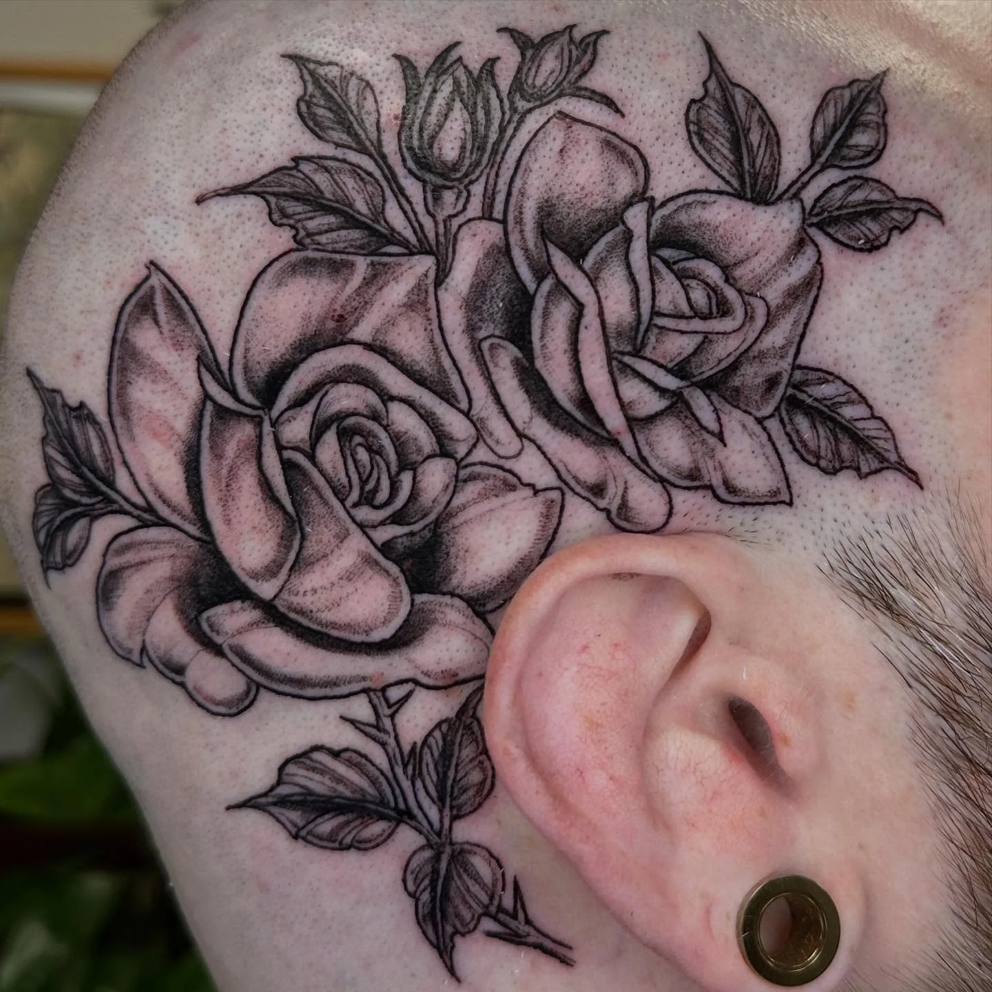 Roses for Jake. Thank you Jake! :) 

.
..
#finelinetattoo #tattoo #fineline #tattoos #ink #tattooartist #inked #tattooart #art #tattooideas #tattooed #tattooing #chicago #chicagotattoo #chicagotattooartist #jeremygolden #jeremygoldentattoo #tattoodes