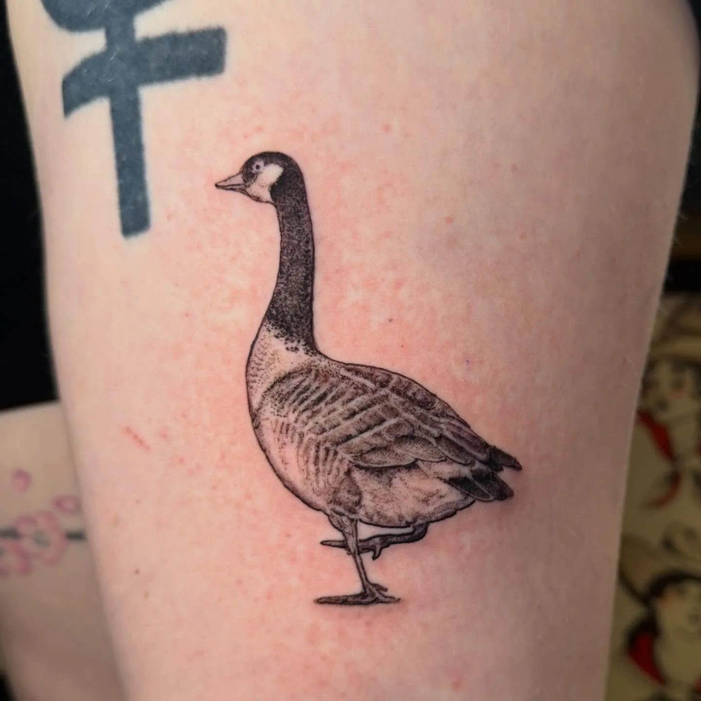 Canadian goose for Claire.
Book@ www.jeremygoldentattoo.com