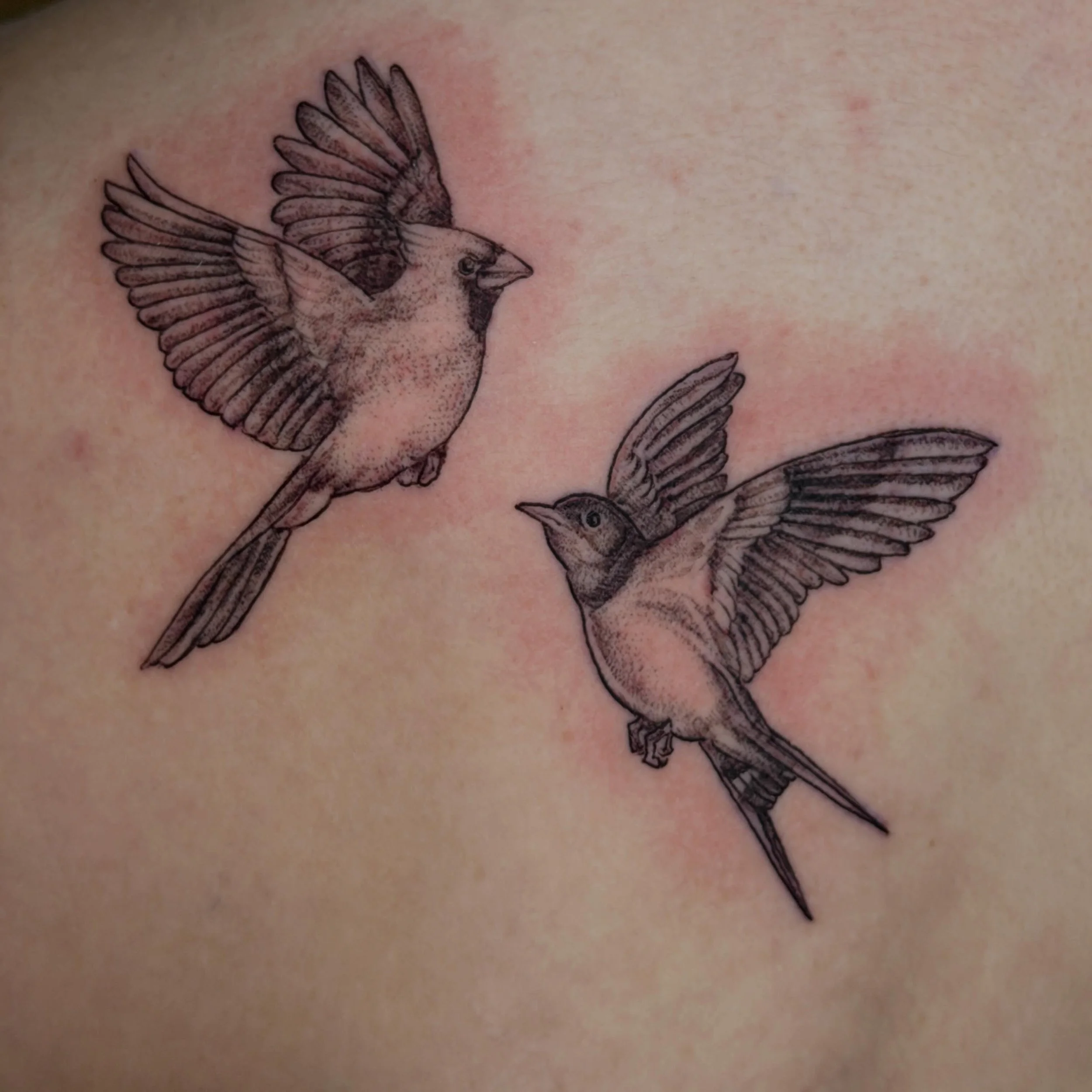 Cardinal and swallow for Danielle.
Booking at: jeremygoldentattoo.com