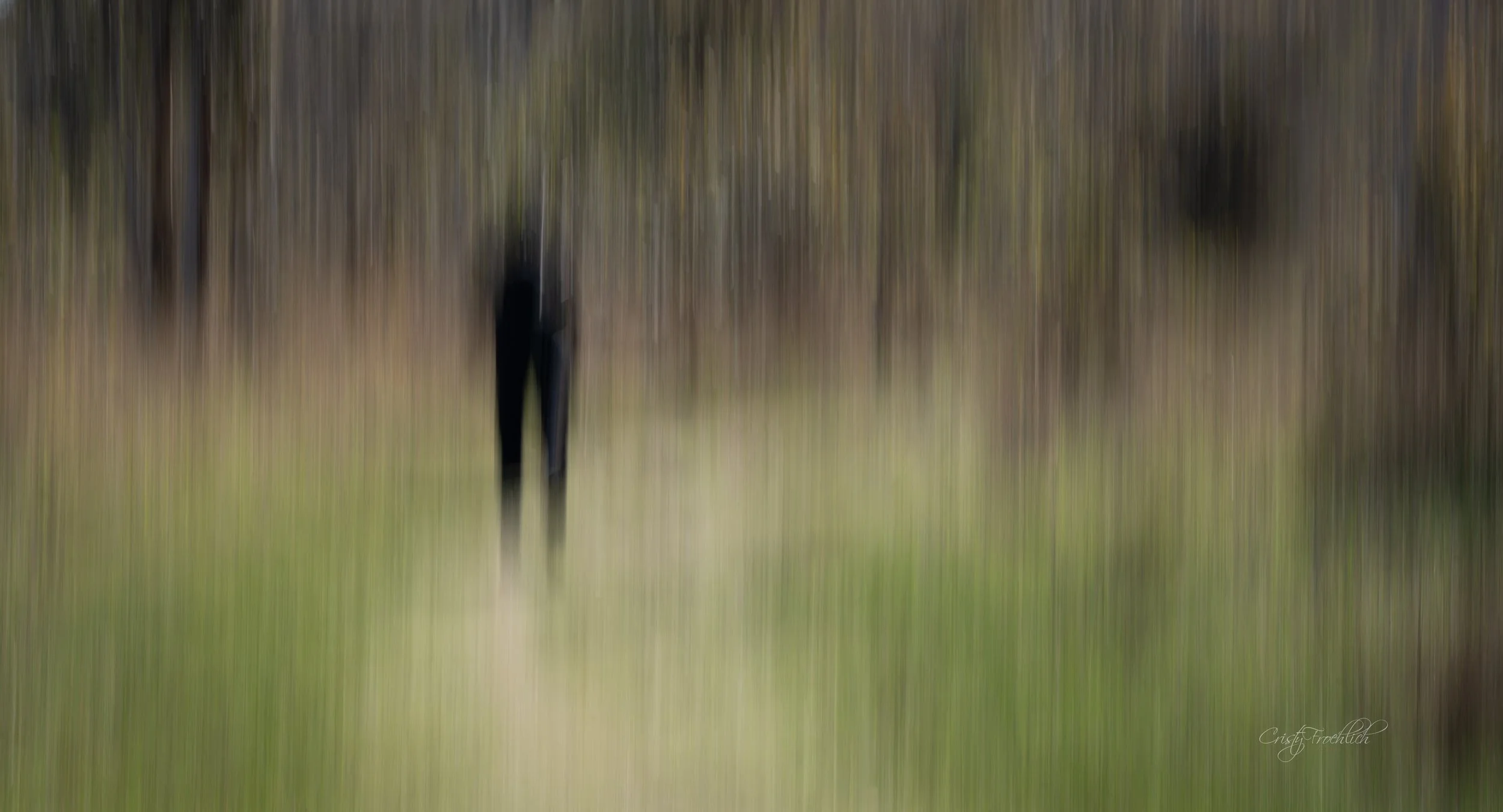 Grief  (it’s a big one!)