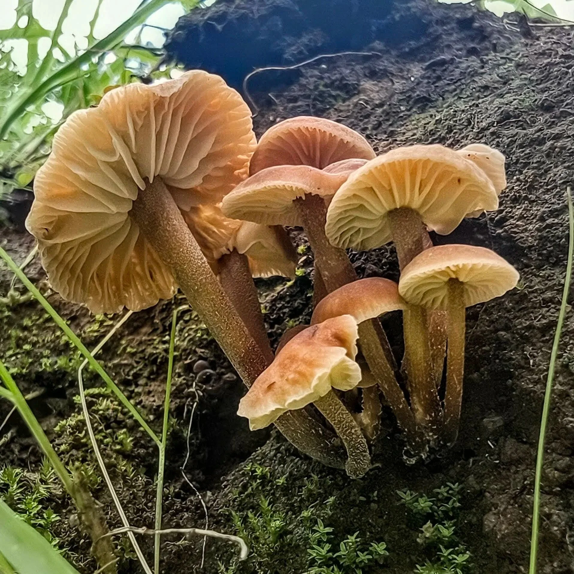 Unknown-2.jpg
