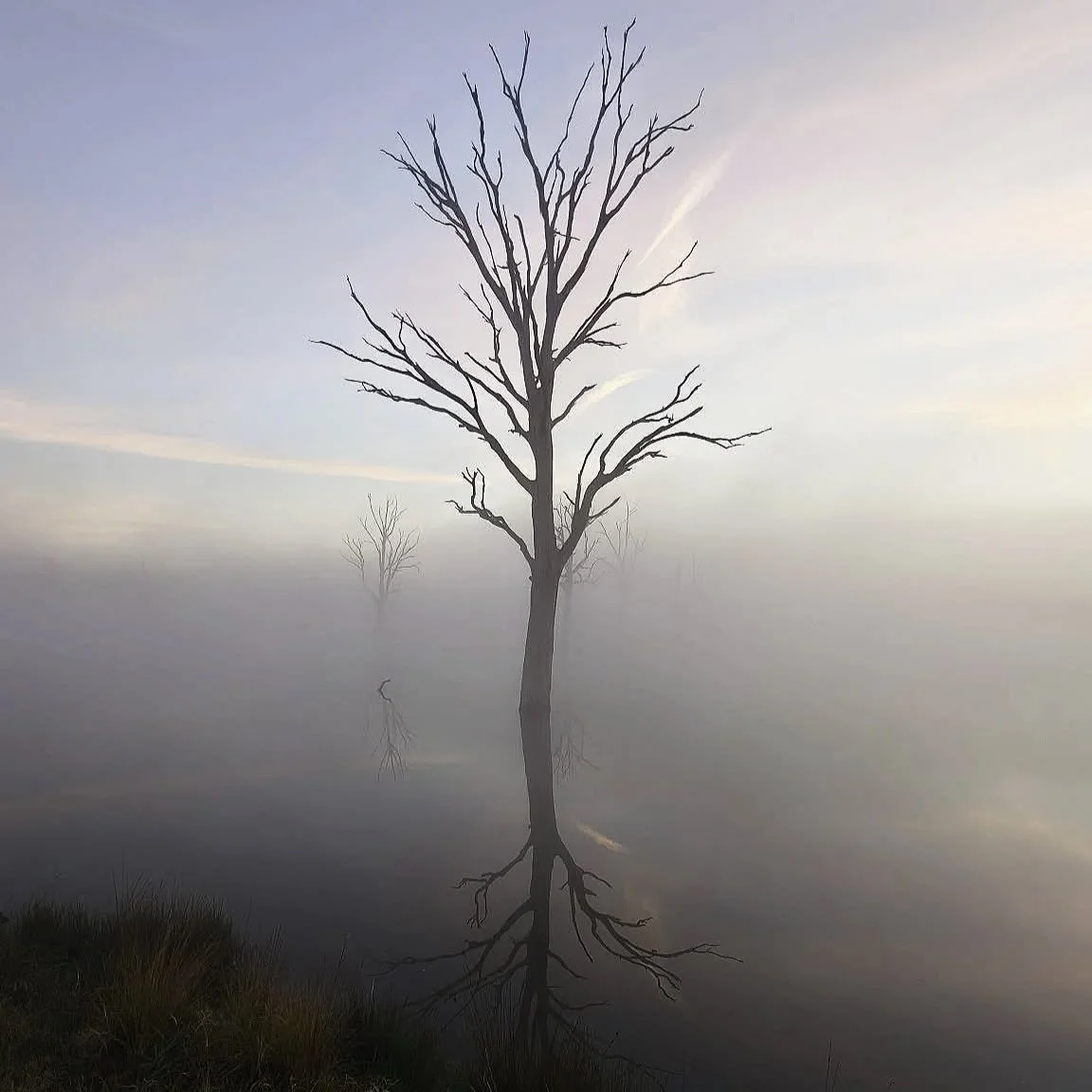 Unknown-4.jpg