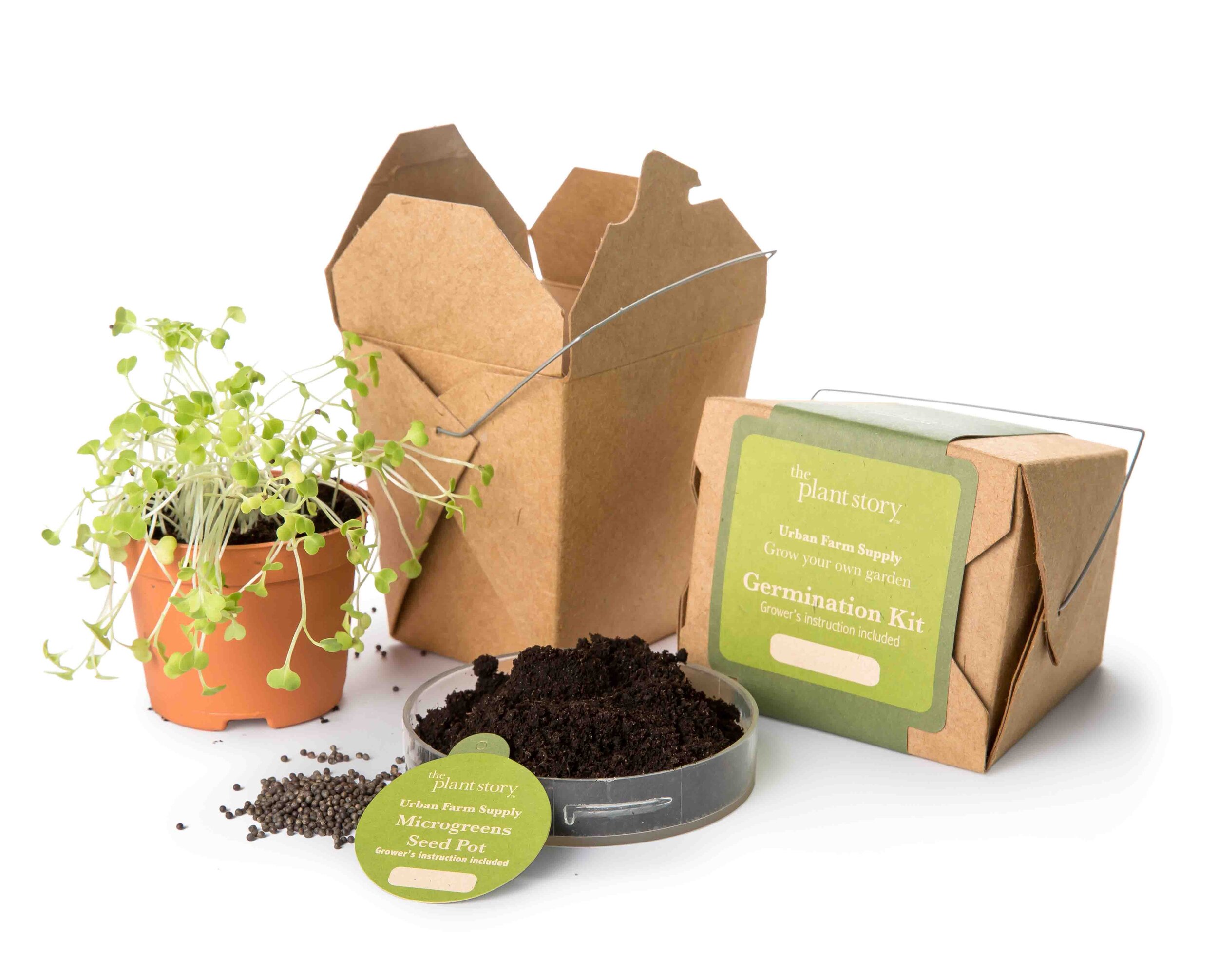 Lunchbox Germination Kit