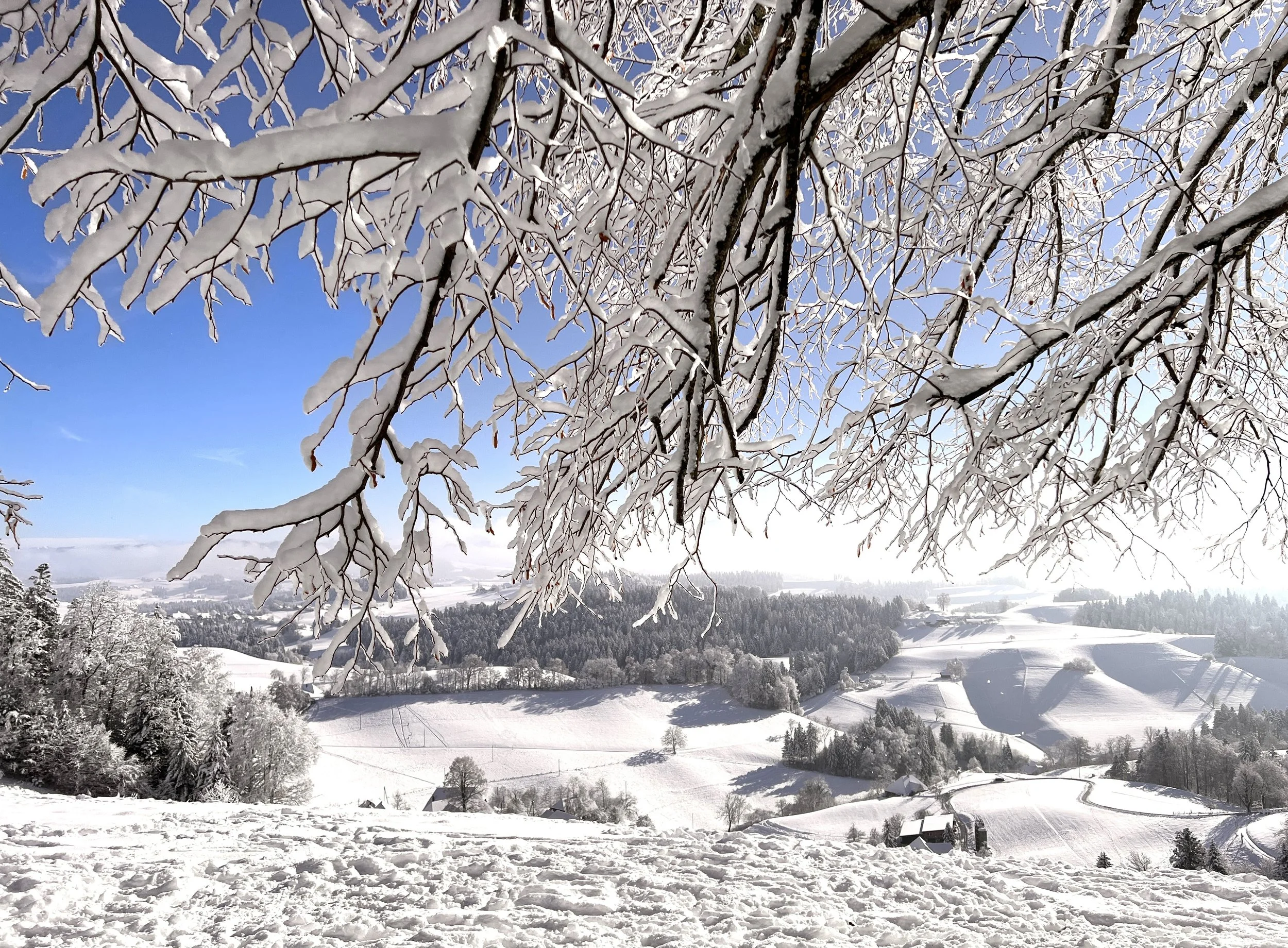 Wir wünschen allen eine schöne und besinnliche Advents- und Weihnachtszeit.