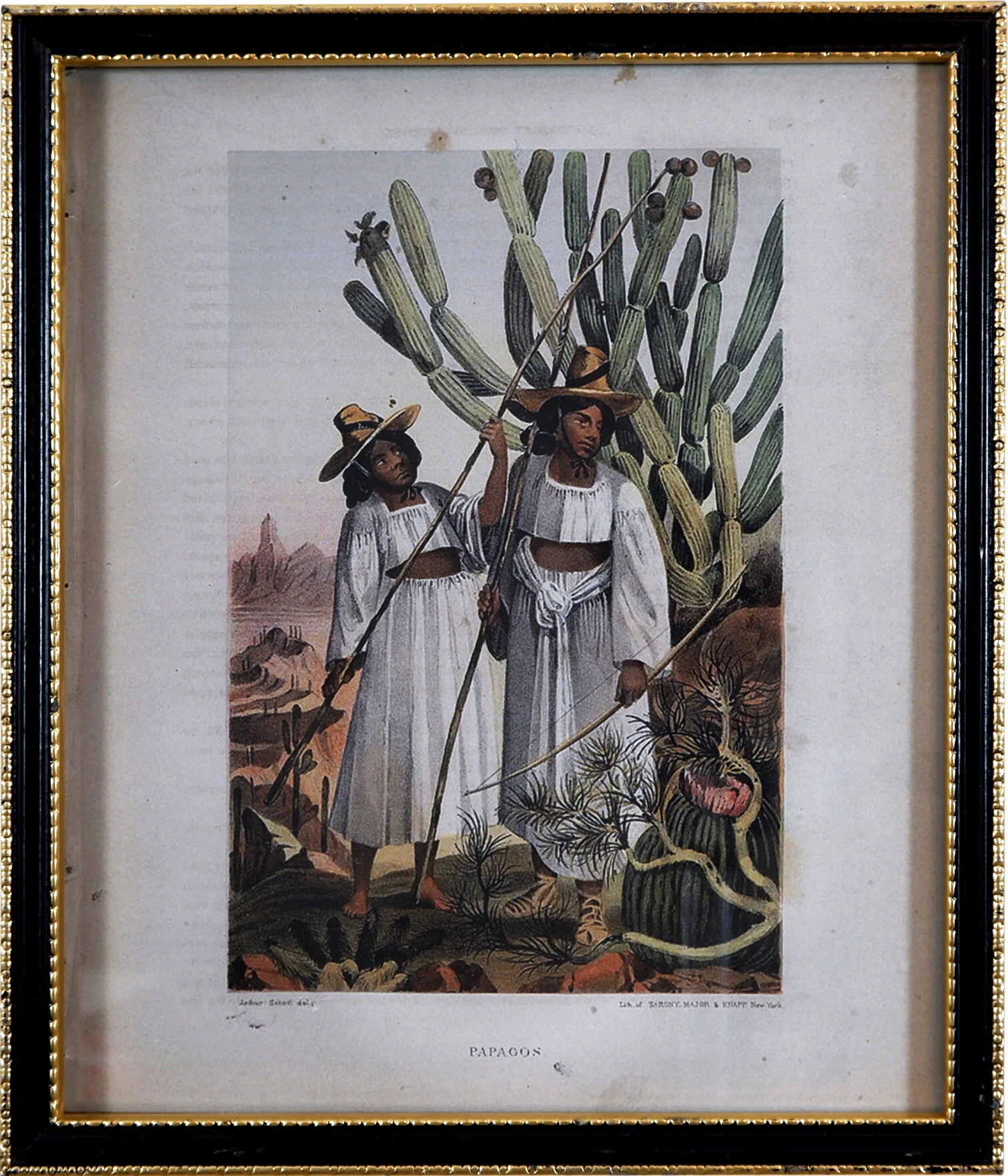 B-66-PEYOTE-HARVEST-9.5X11.jpg
