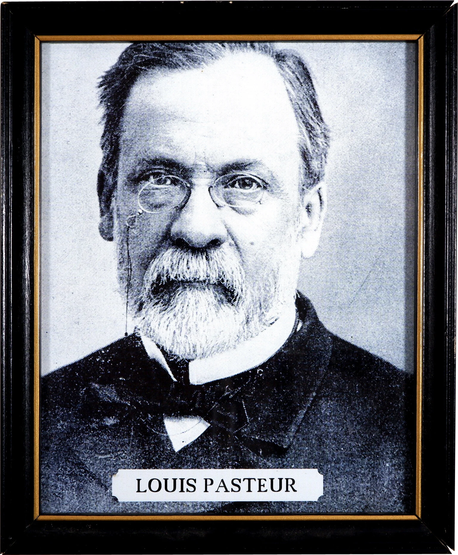 B-113-LOUIS-PASTEUR-9X11.jpg
