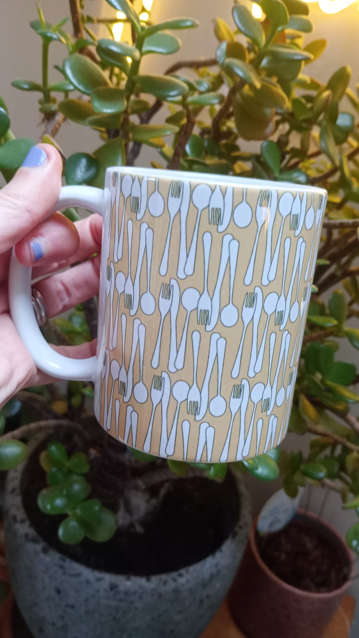 WhatsApp Image 2026-02-05 at 12.16.09.jpeg