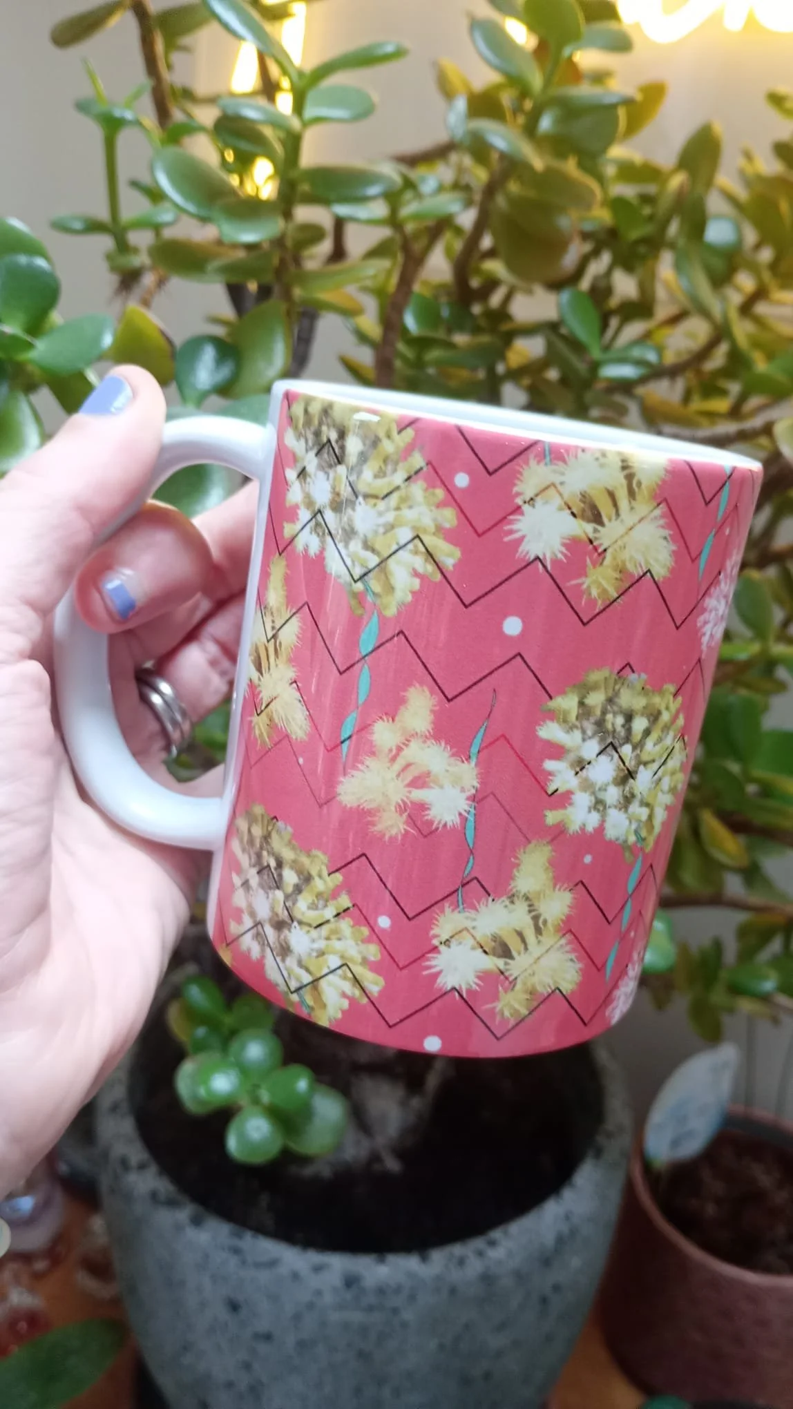 WhatsApp Image 2026-02-05 at 12.15.36.jpeg