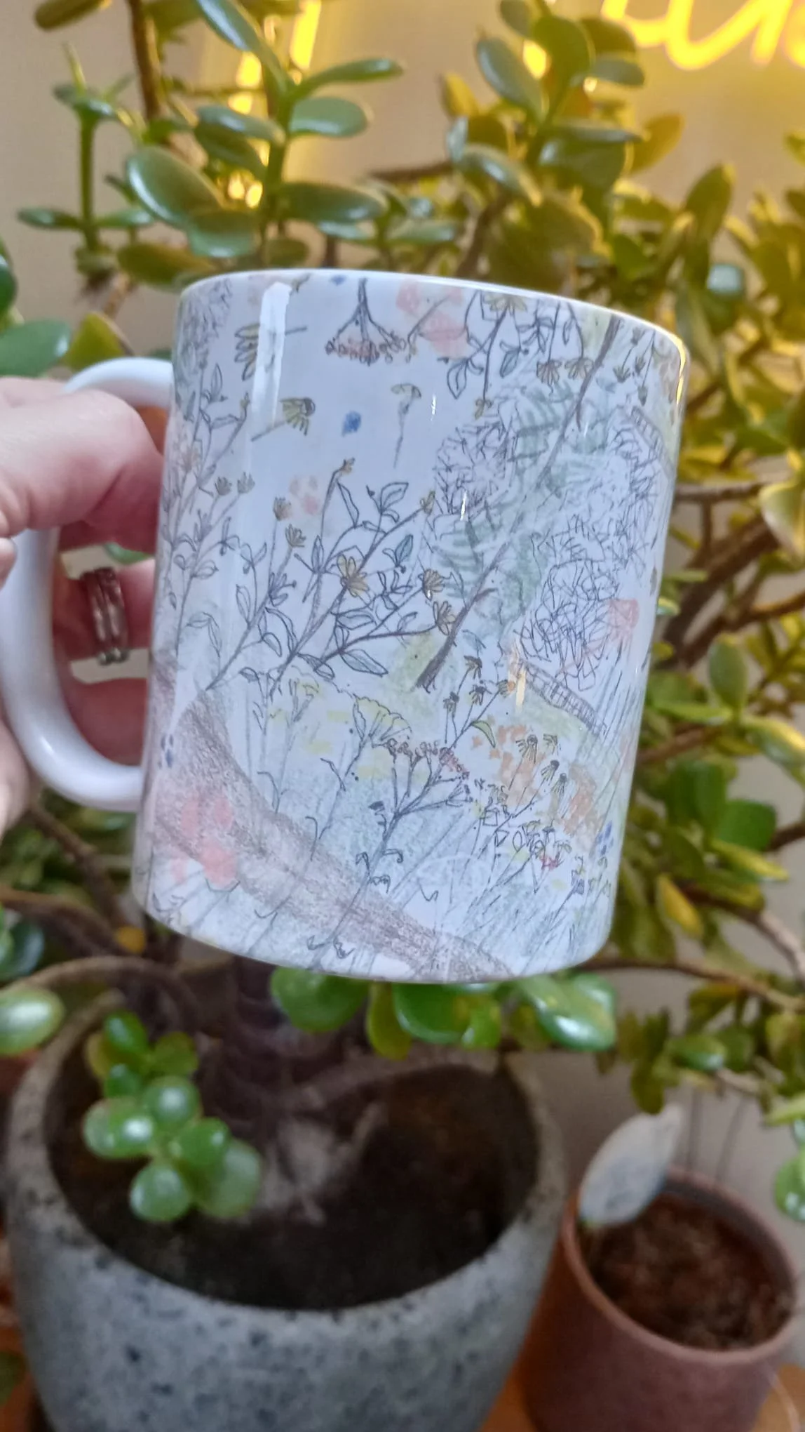 WhatsApp Image 2026-02-05 at 12.16.42.jpeg