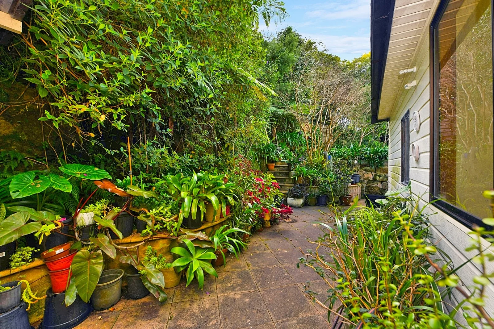 (WEB) 56 Algernon St, Oatley (11).jpg