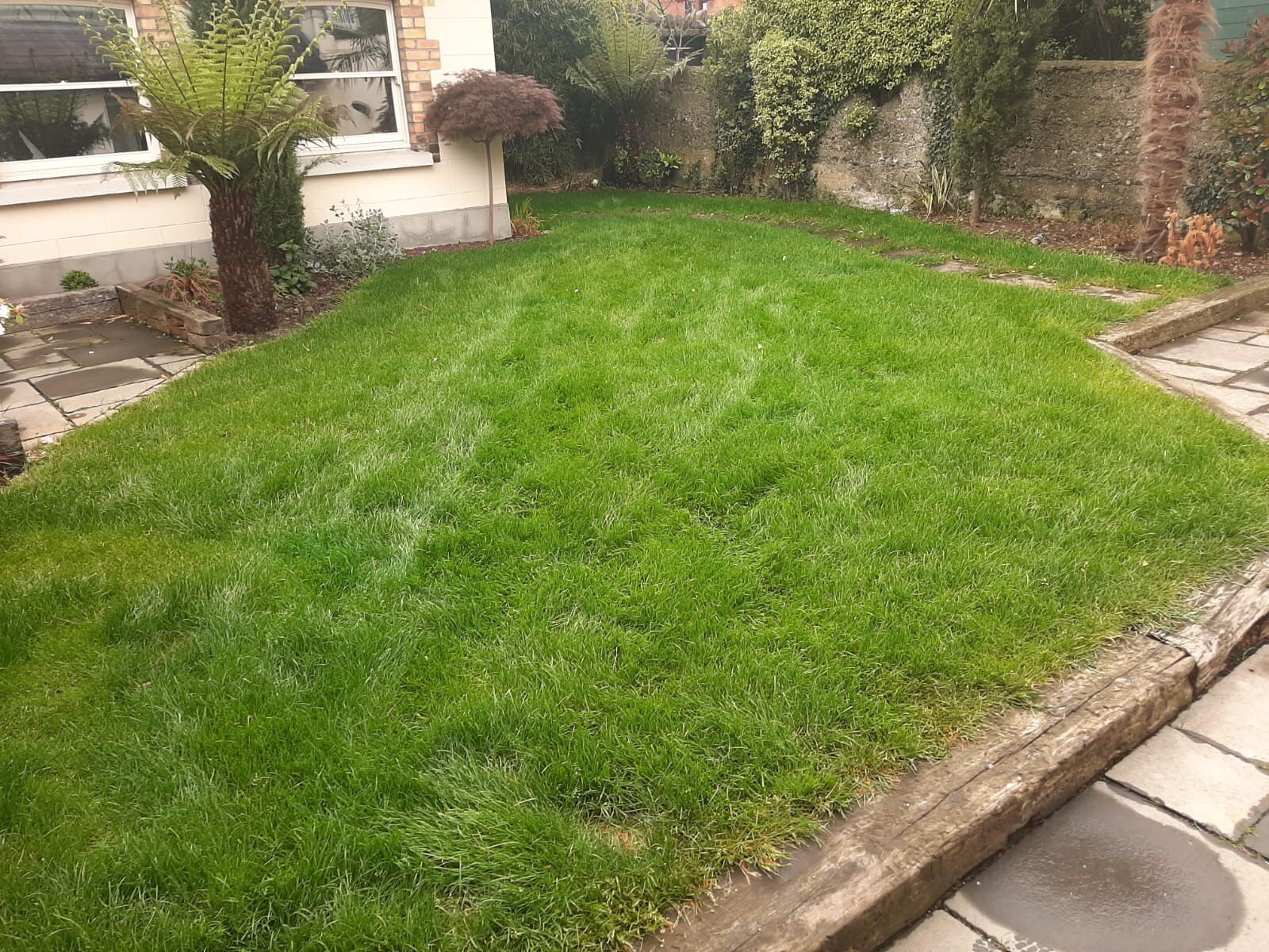 Scarifying job 1 after.jpg