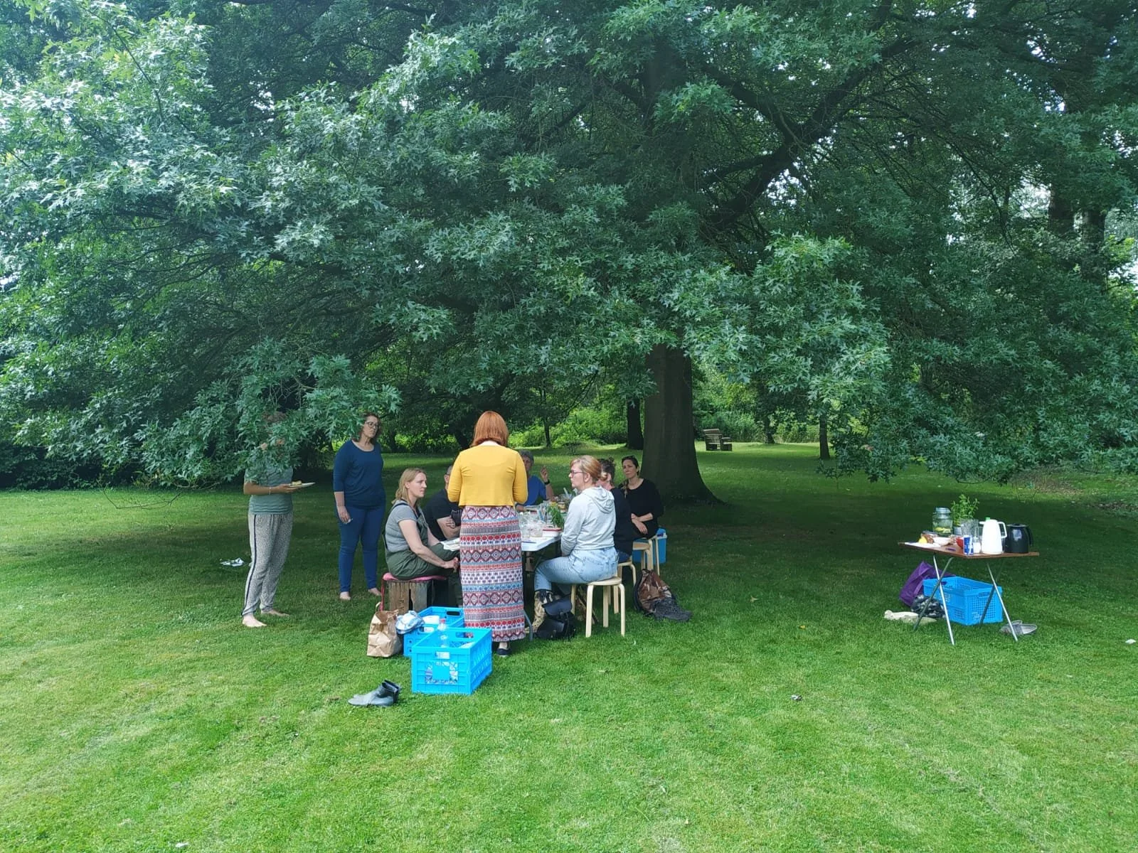 activiteit bij de boom.jpg