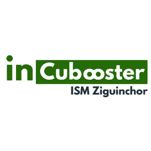 Logo avec le texte 'YouTube' en haut, puis 'Subsystem' en vert avec une icône de lecture à gauche, et en dessous, 'ISM Ziguinchor' en bleu. Fond noir.