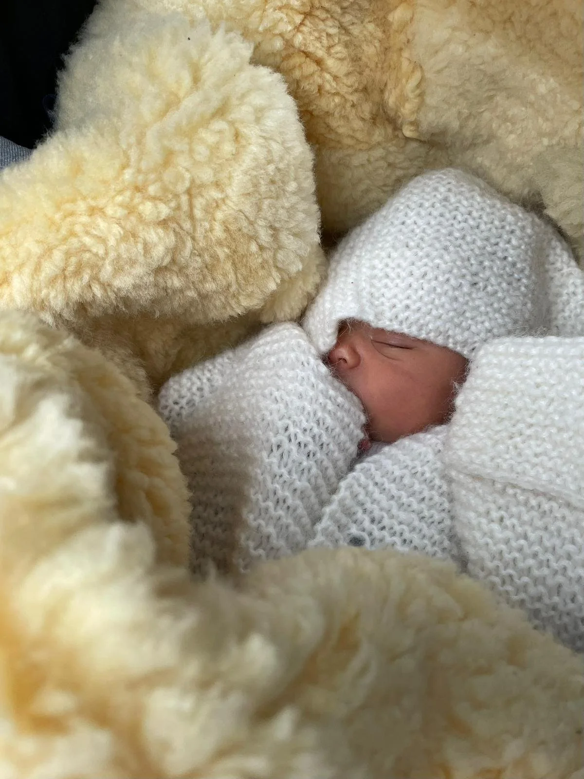 WhatsApp Image 2026-03-15 at 5.07.30 PM.jpeg