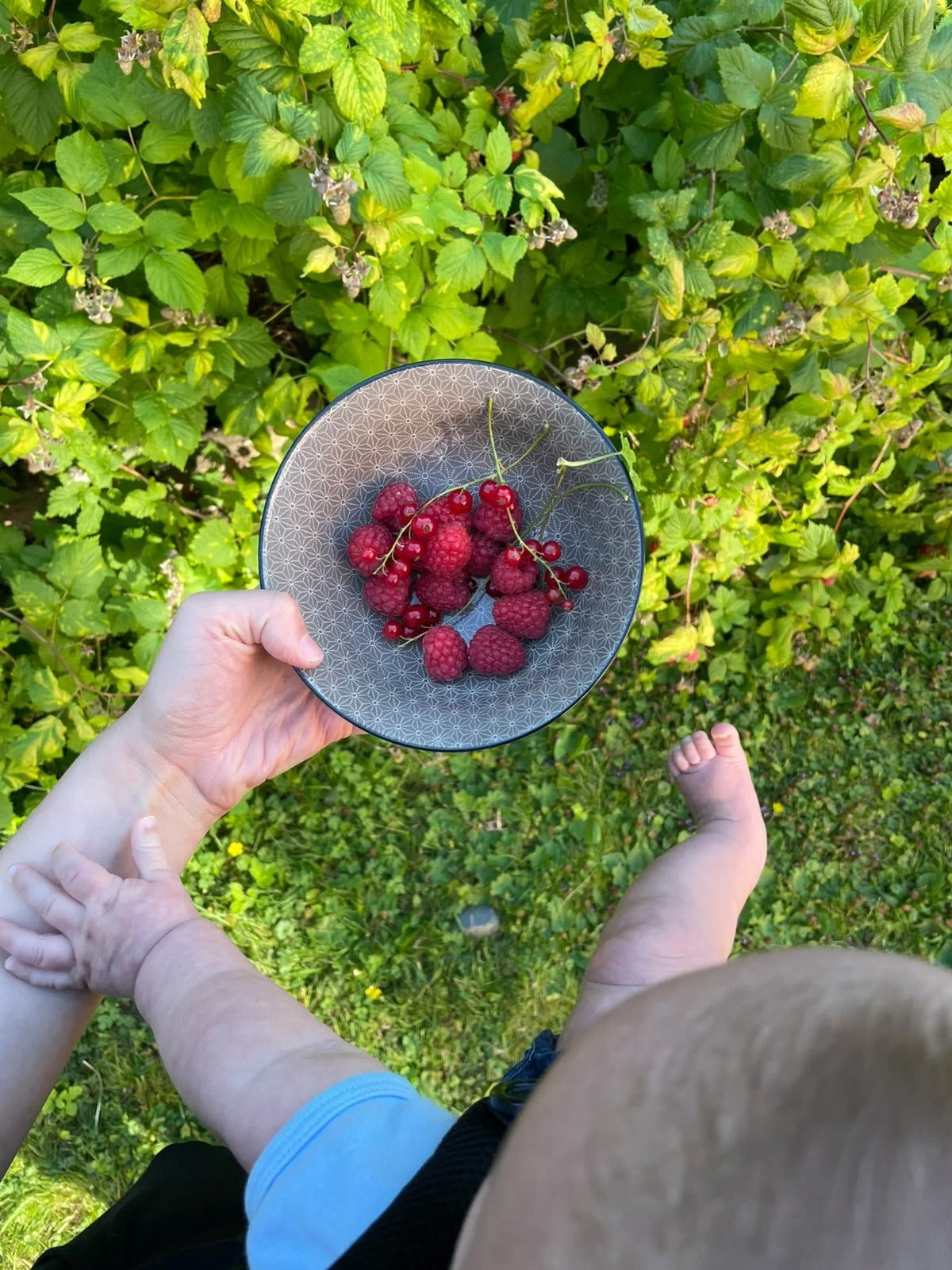 I Needed to Take My Own Advice: A Reflection on Rest