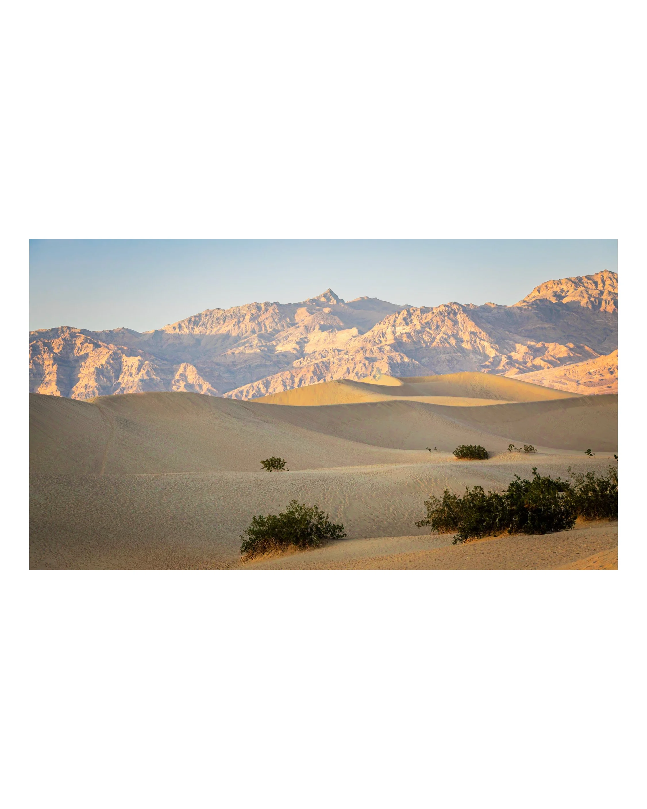 Mesquite Flat Sand Dunes