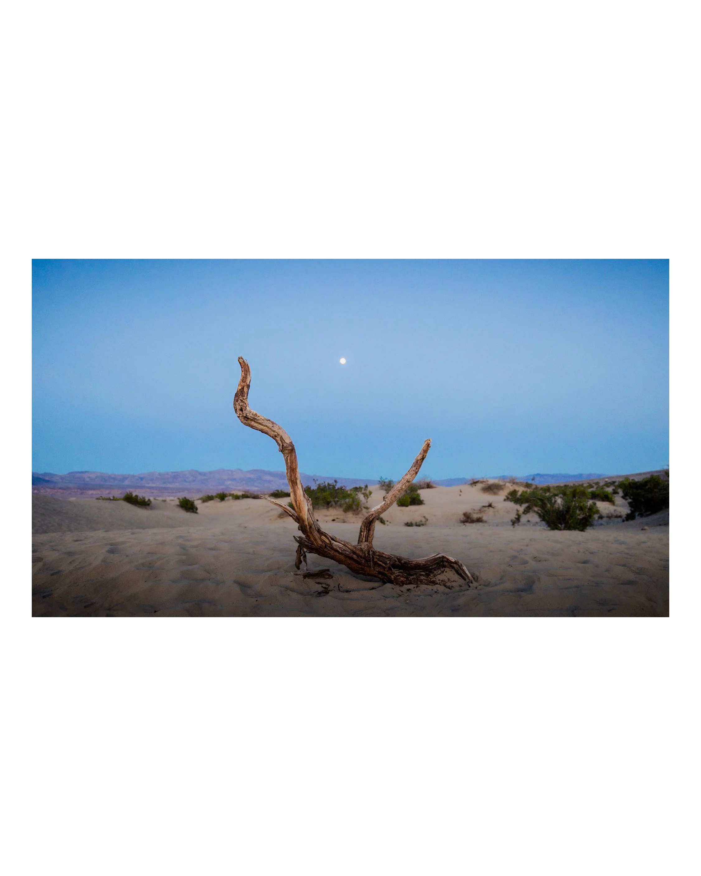 Moonrise at the Sand Dunes