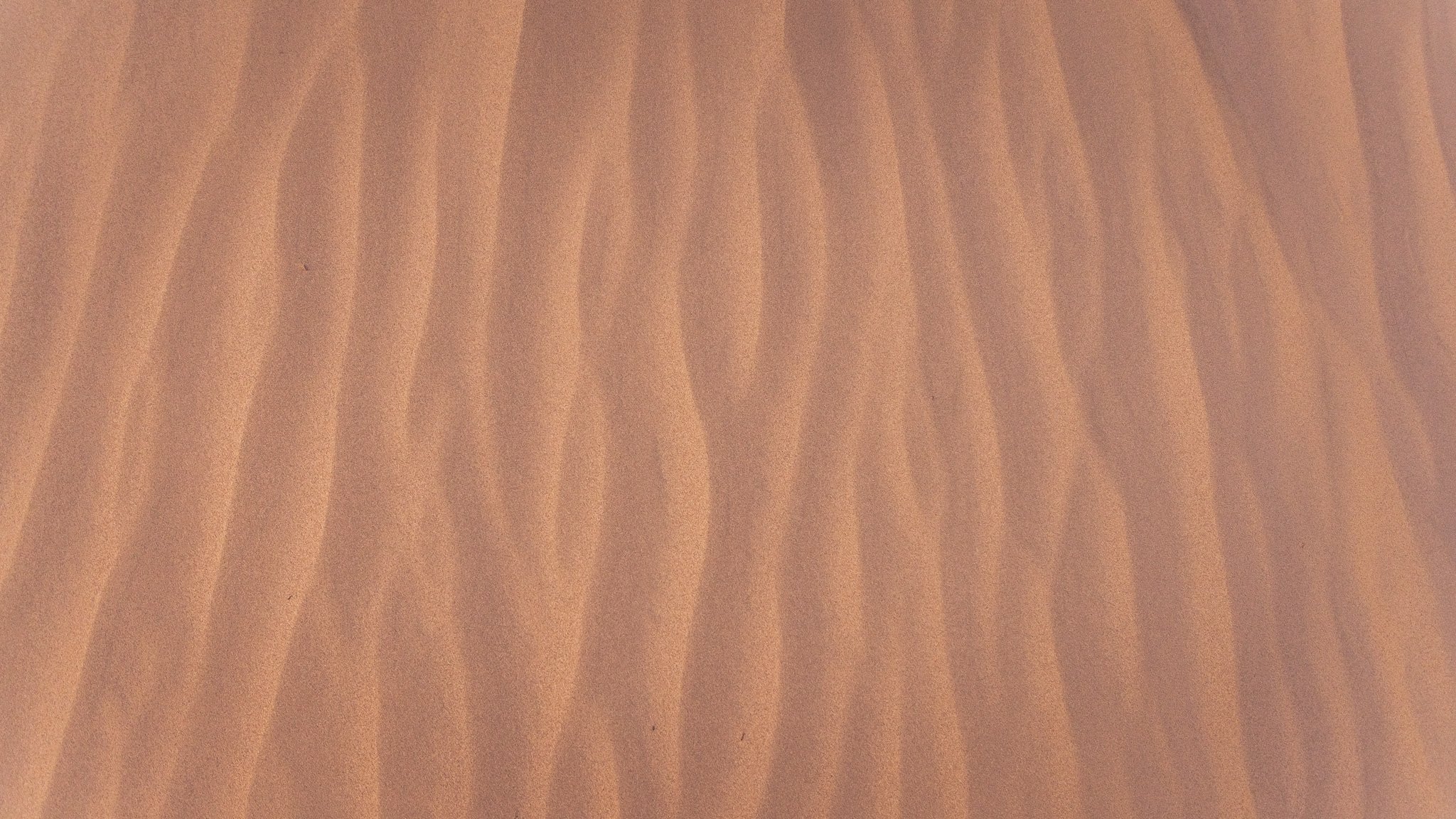 B35A4824.jpg