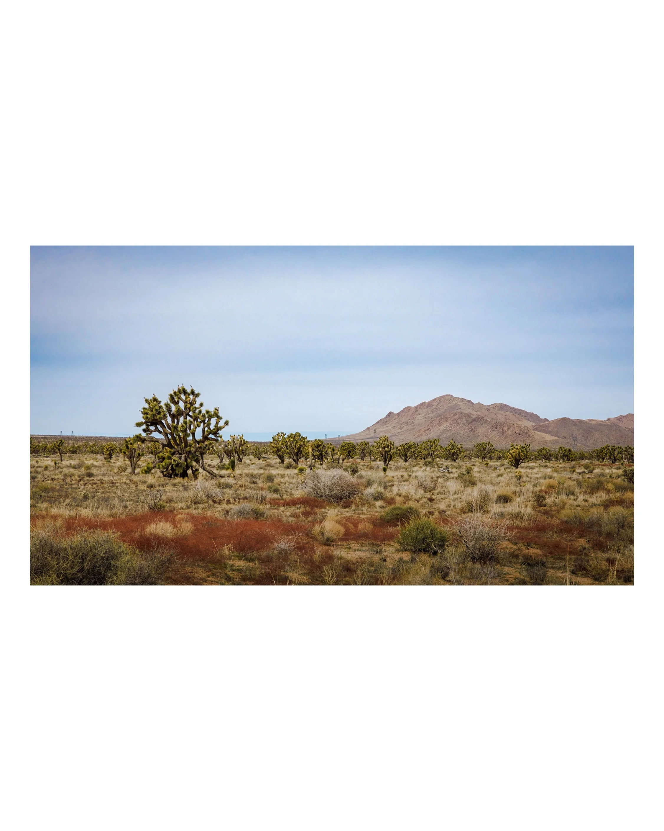 The Mojave to I - 15