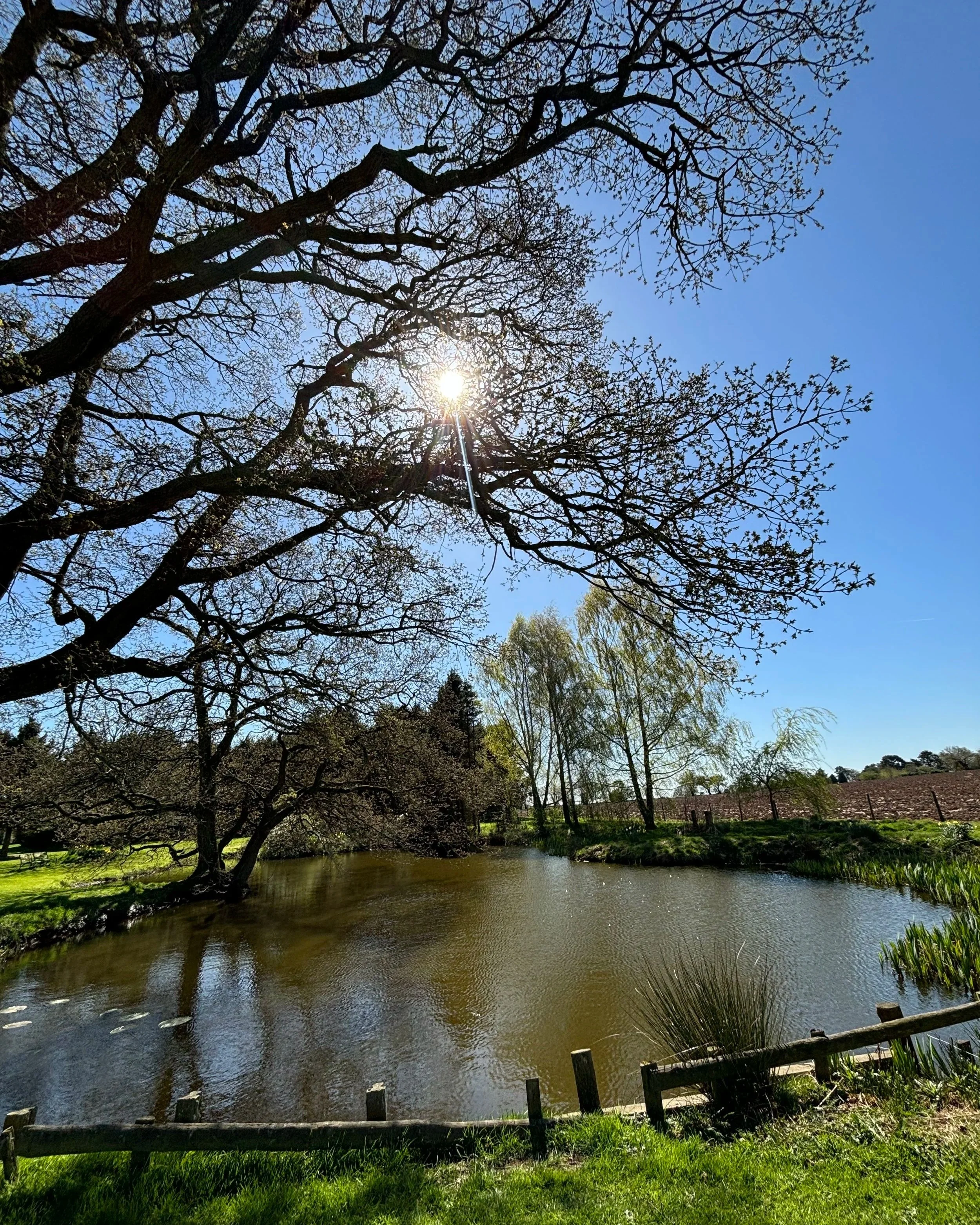 Sunlit grounds and pond at Newton Meadows Shrewsbury, providing a peaceful outdoor sanctuary for somatic movement therapy and nervous system healing in Shropshire.