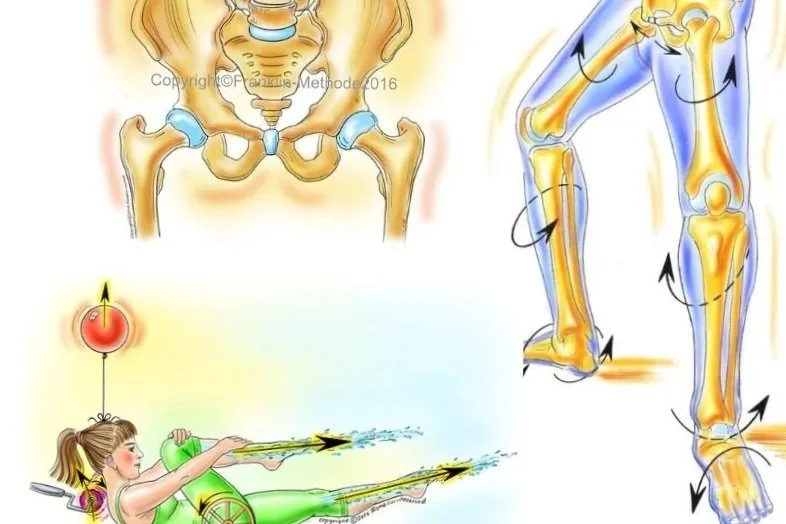 Franklin Method® Immersive in Edinburgh: Discover your dynamic and balanced Pelvic Floor in movement & breath, The power of our Mind-Body Connection.