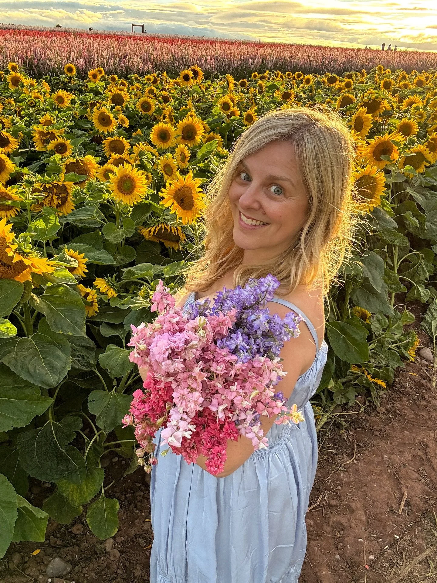 Always chasing a sunset&hellip; one of my favourite places with thousands of sunflowers and confetti flowers - it&rsquo;s a special place and always makes me smile and feel rested yet energised and deeply connected 💓🌞
Sunday somatics and what joy i
