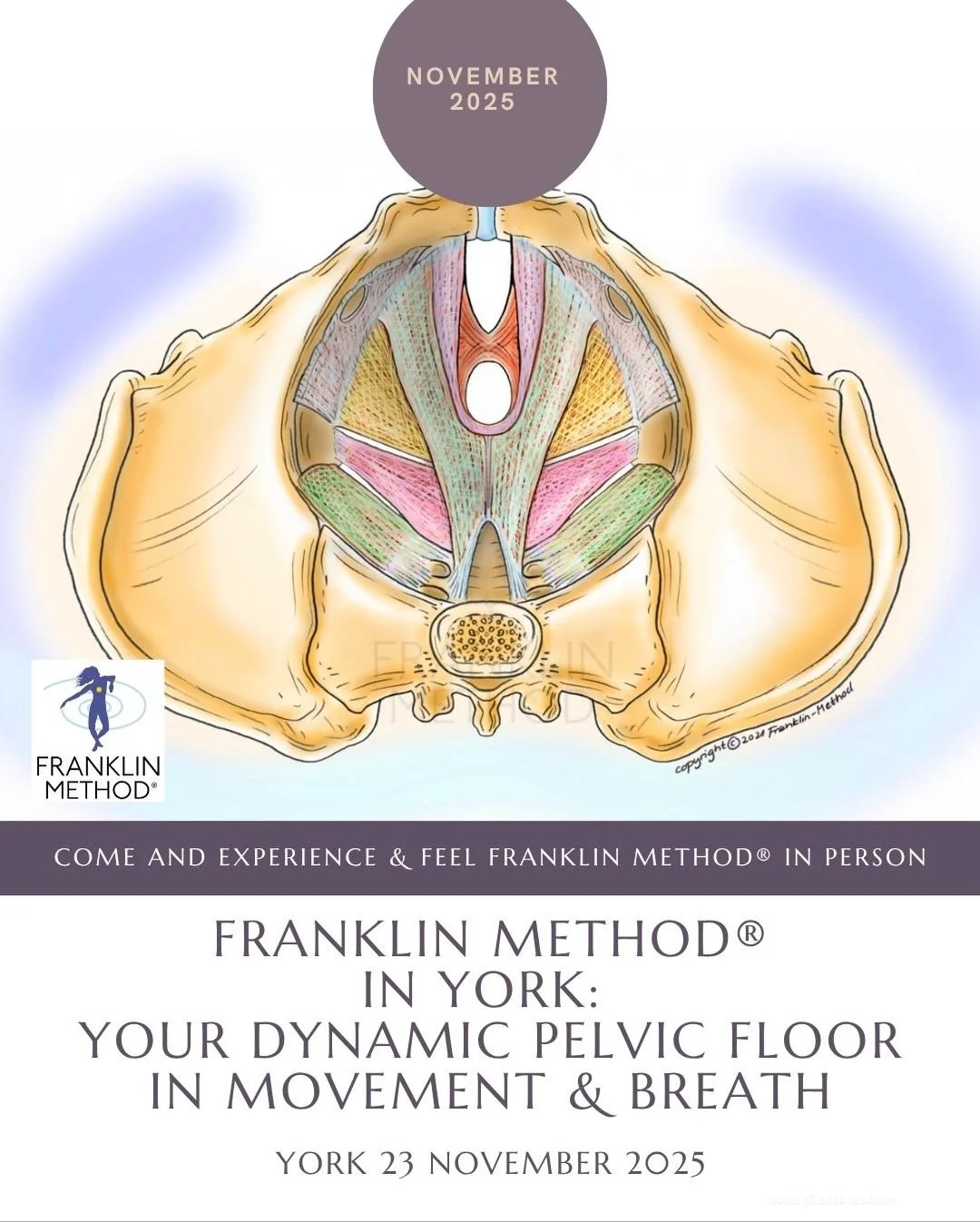 ✨Places of magic in us - how beautiful is your pelvic floor?✨ 

💓Let&rsquo;s deepen our understanding of it from being the place we pull all 4 points in to a deepening embodiment and felt sense of it working in harmony!  Feel grounded, feel comfort 