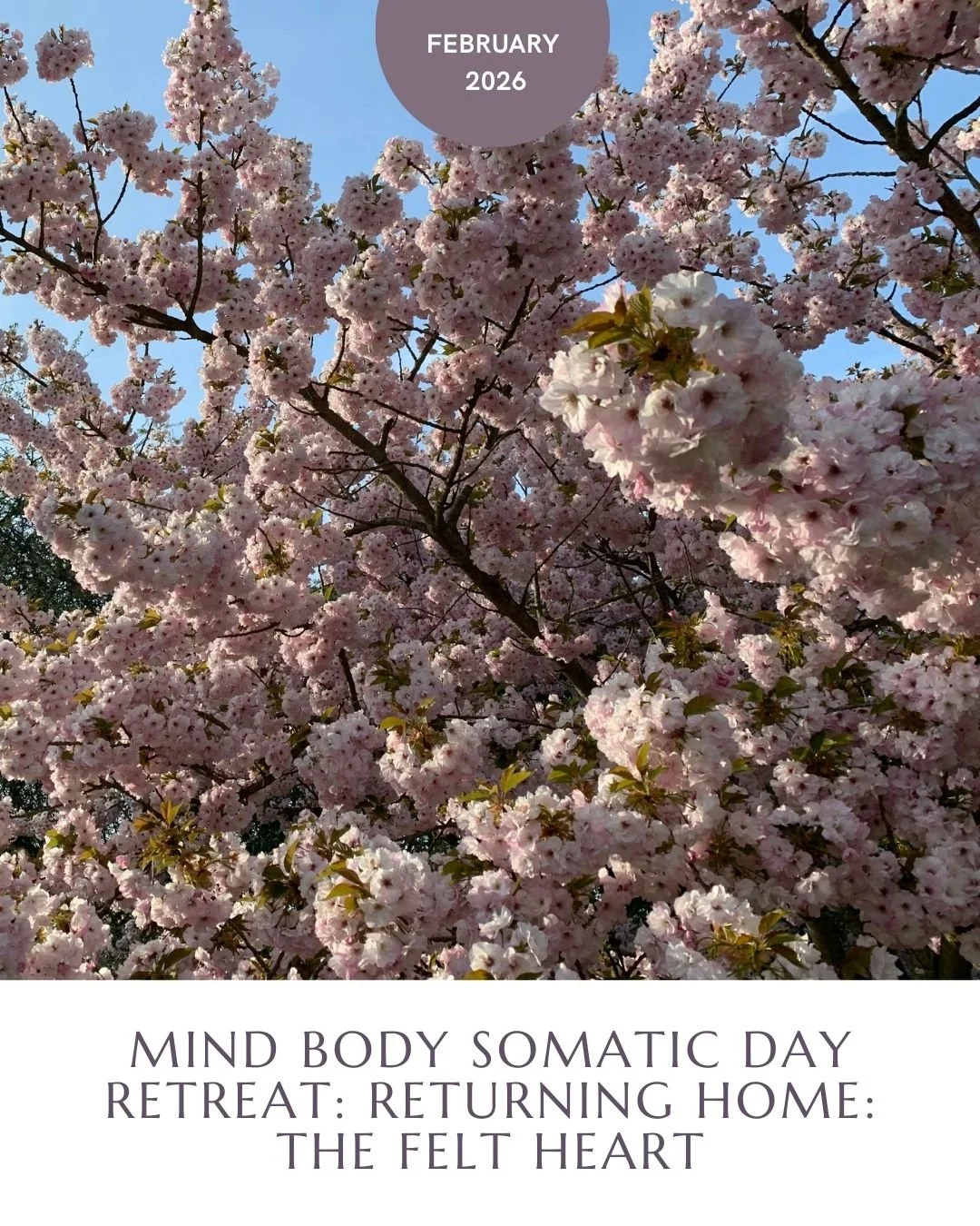 🌹Returning Home: The Felt Heart, My Somatic Day Retreat for Midlife Women🌹 
Sunday 15 February | Shrewsbury, Shropshire. 
At a time of life where you can feel disconnected from your body, stressed out and lacking the power or possibly even the ener