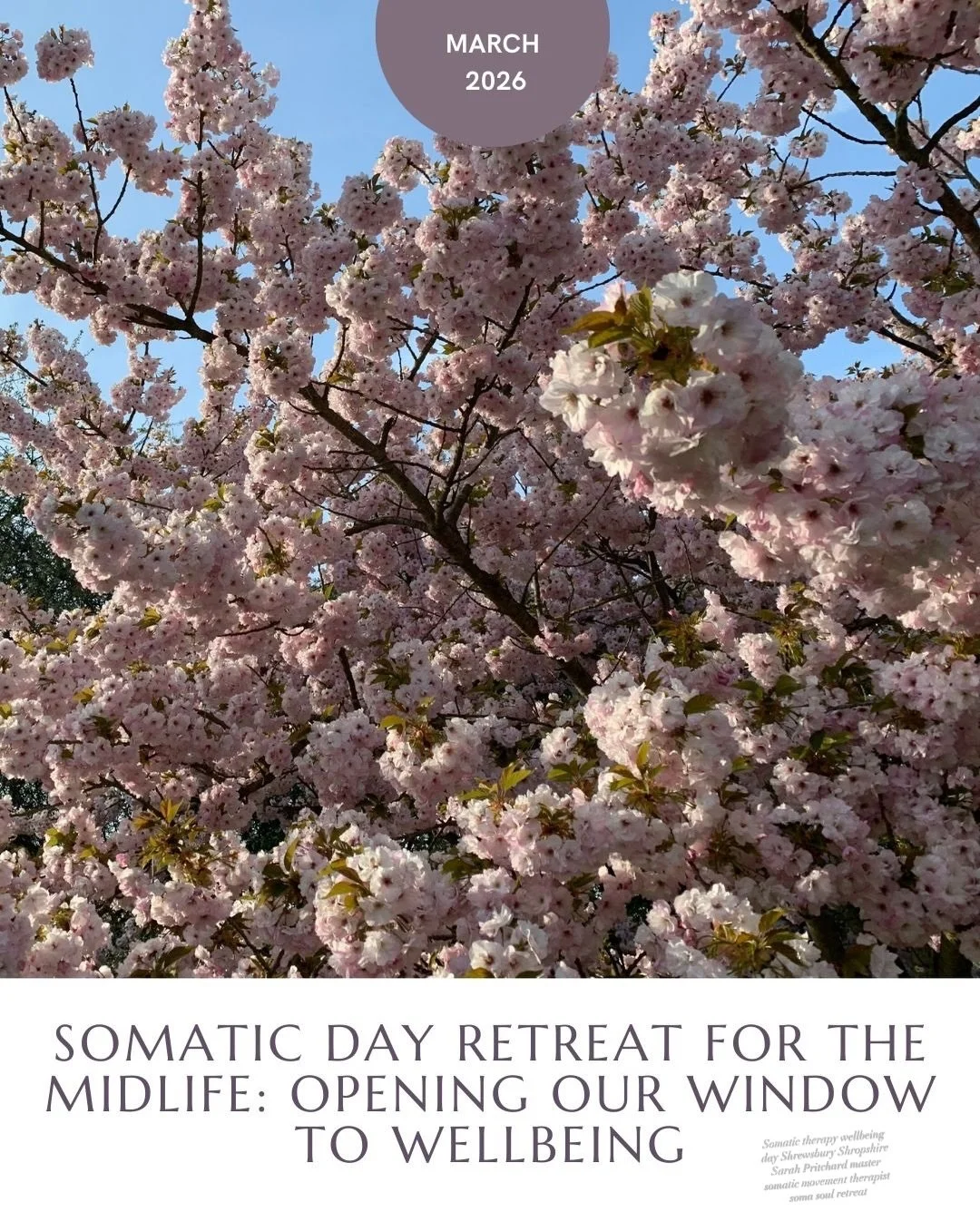 Your window to wellbeing is waiting to be opened in March! 🌿
Join me for the SomaSoul&reg; Somatic Therapy Immersion - a UK first right here in Shrewsbury, Shropshire and designed for the needs of women in the midlife.  A day of connection in a smal