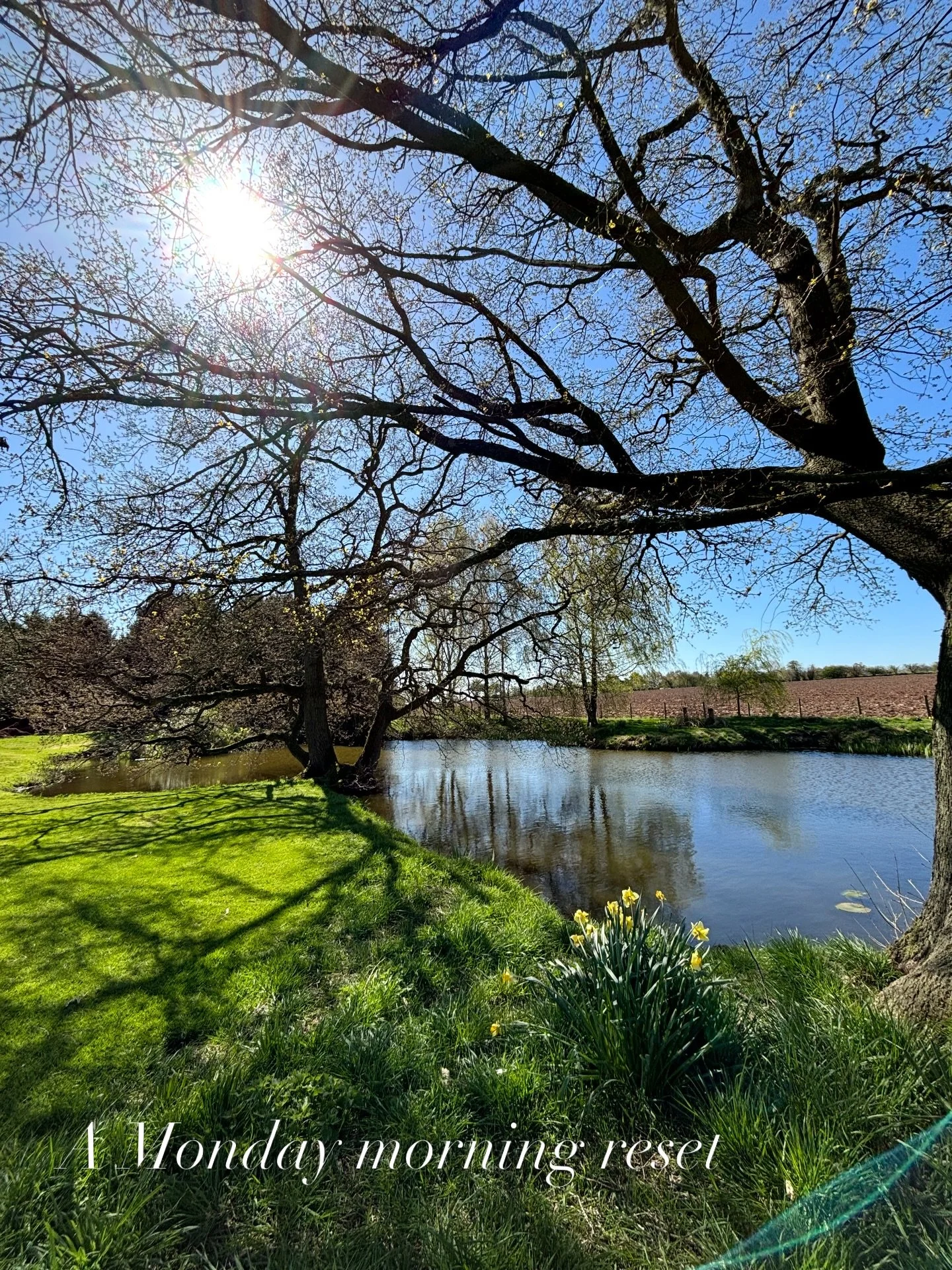 A Monday morning check-in... 🌿

Before the &ldquo;To-Do&rdquo; list for the week fully takes over, can you take a brief, conscious pause?

Feel you.  Notice your breath. Notice your shoulders. How are you actually feeling in your body right now?

Of