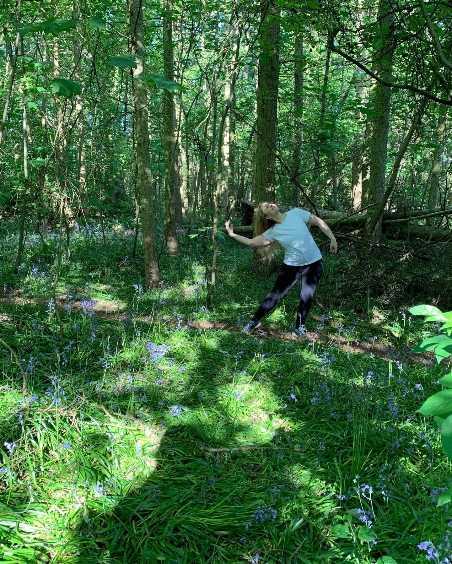 Take a moment to notice, imagine and feel&hellip;
Your fascia is a mycelial network, your skeleton a geological formation. Your blood is a water cycle. Your lungs are the earth breathing through you.
These look like metaphors but there is a truth her