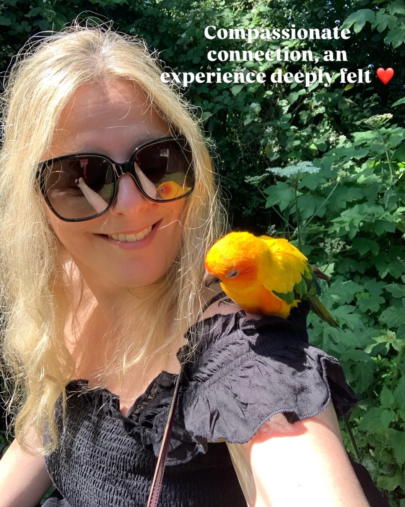 Relational.
This image - a metaphor for presence. 
As a somatic therapist I read so much on social media about doing exercises to regulate your nervous system.  And this is an important part of my work too - but I never let it be the only part.  And 