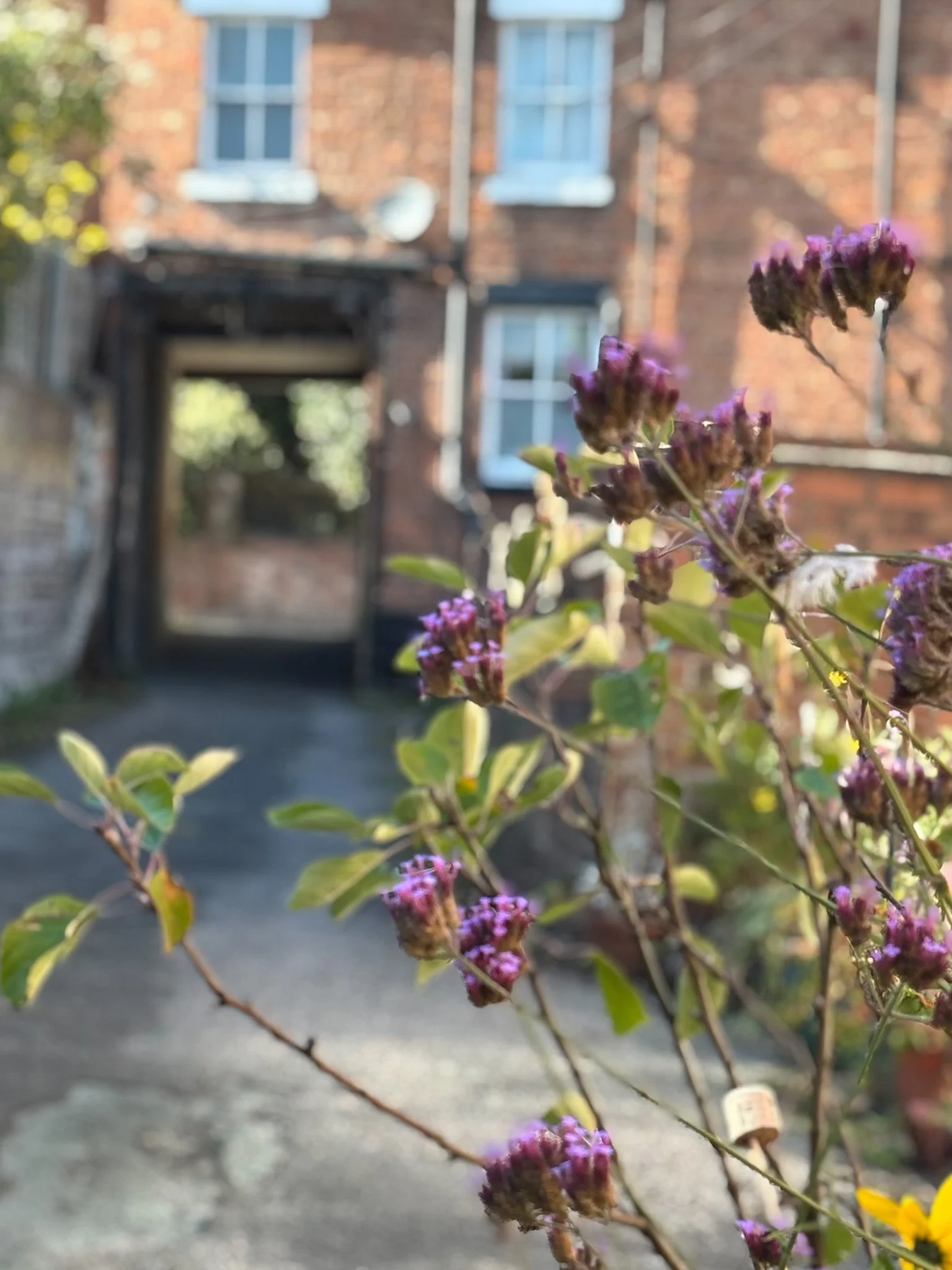 The tranquil outdoor entrance to Sarah Pritchard’s Somatic Therapy and Movement Sanctuary in Shrewsbury, Shropshire.